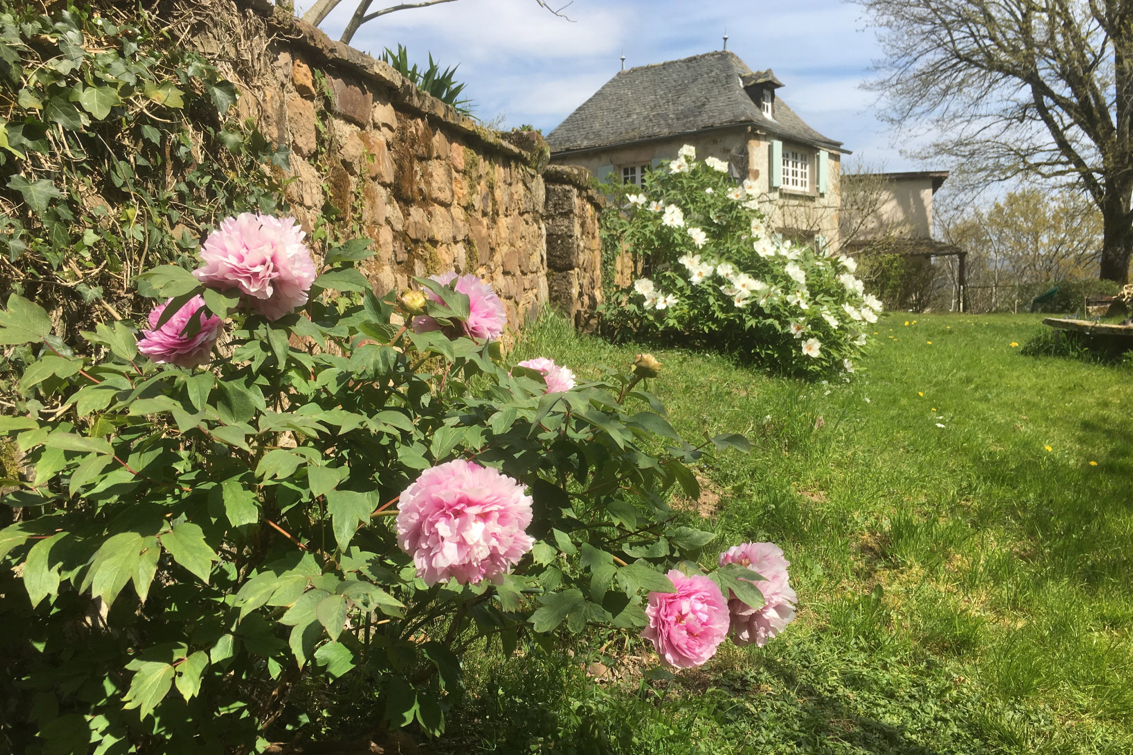 Natuurhuisje in Najac