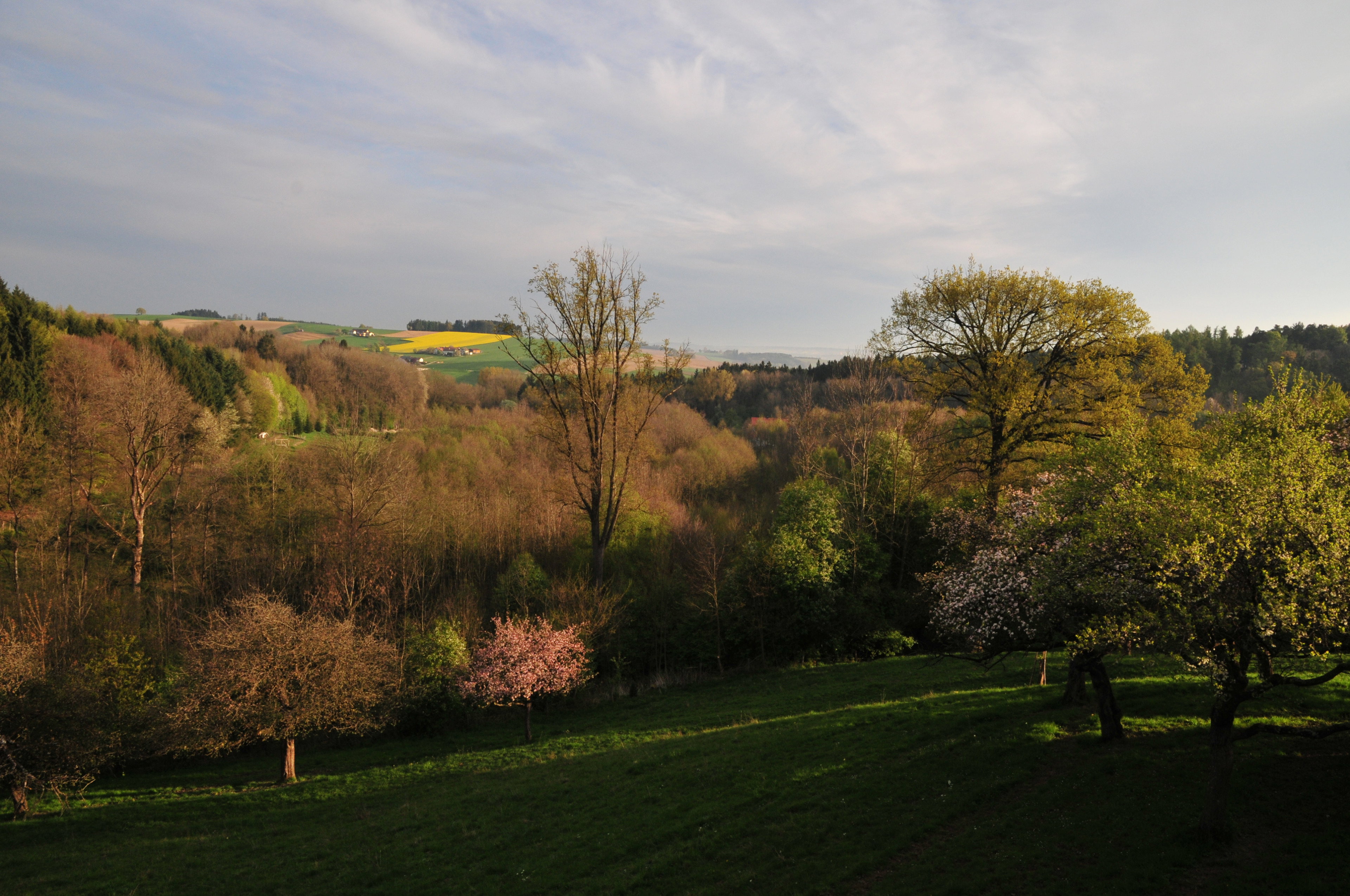 Nature house in Kösslarn