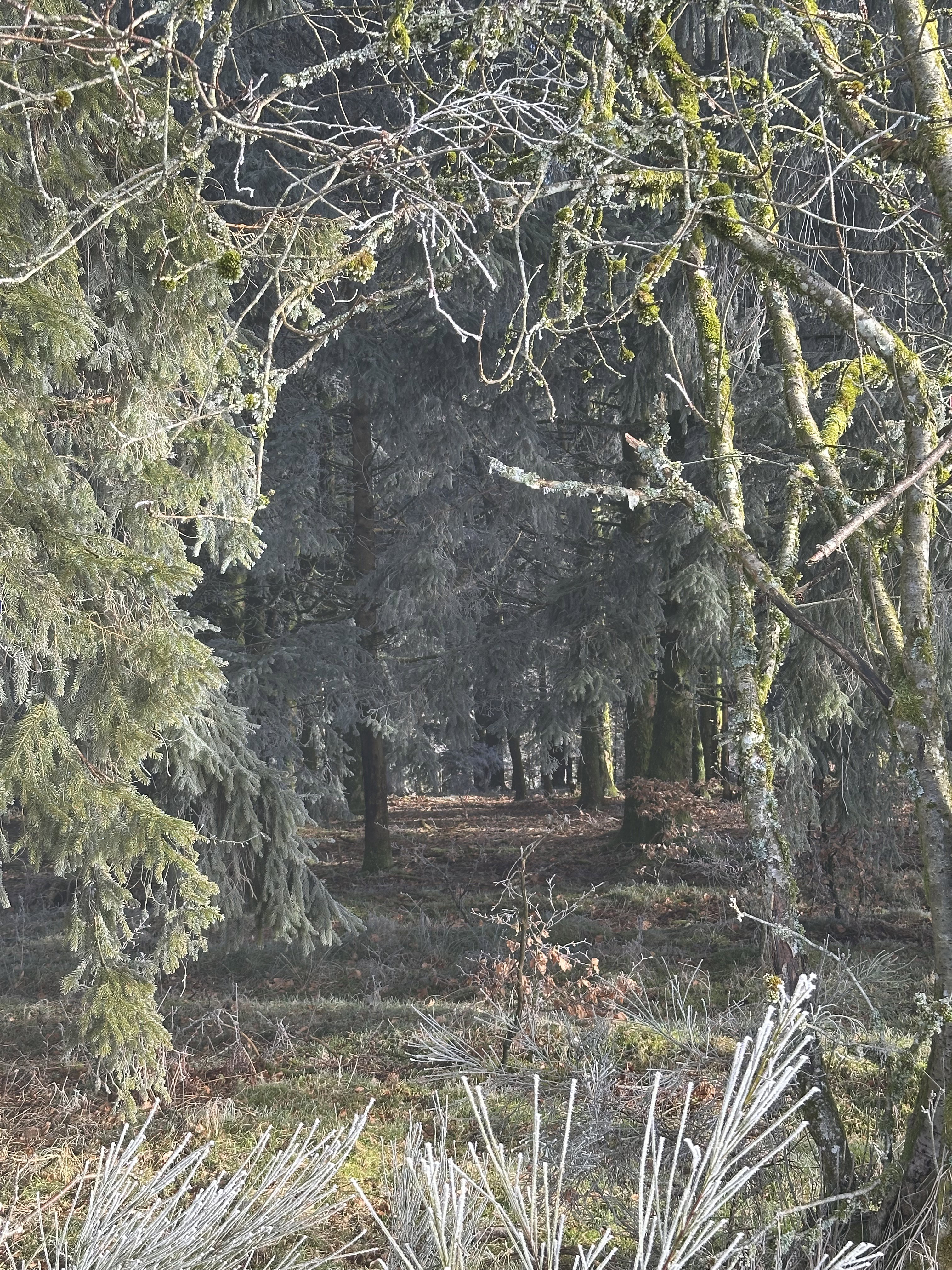 Casa nella natura a La Rosiere