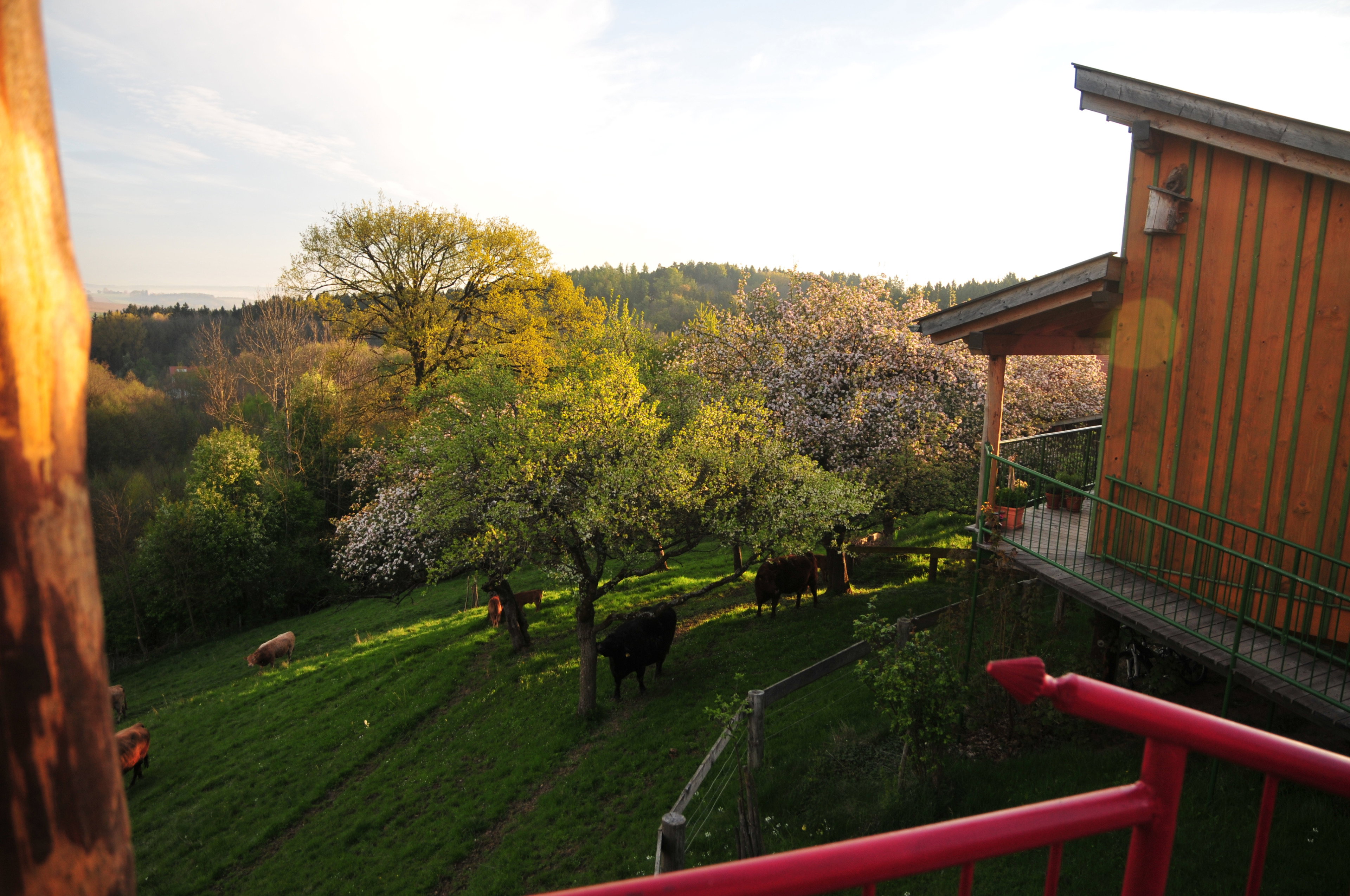 Naturhäuschen in Kösslarn