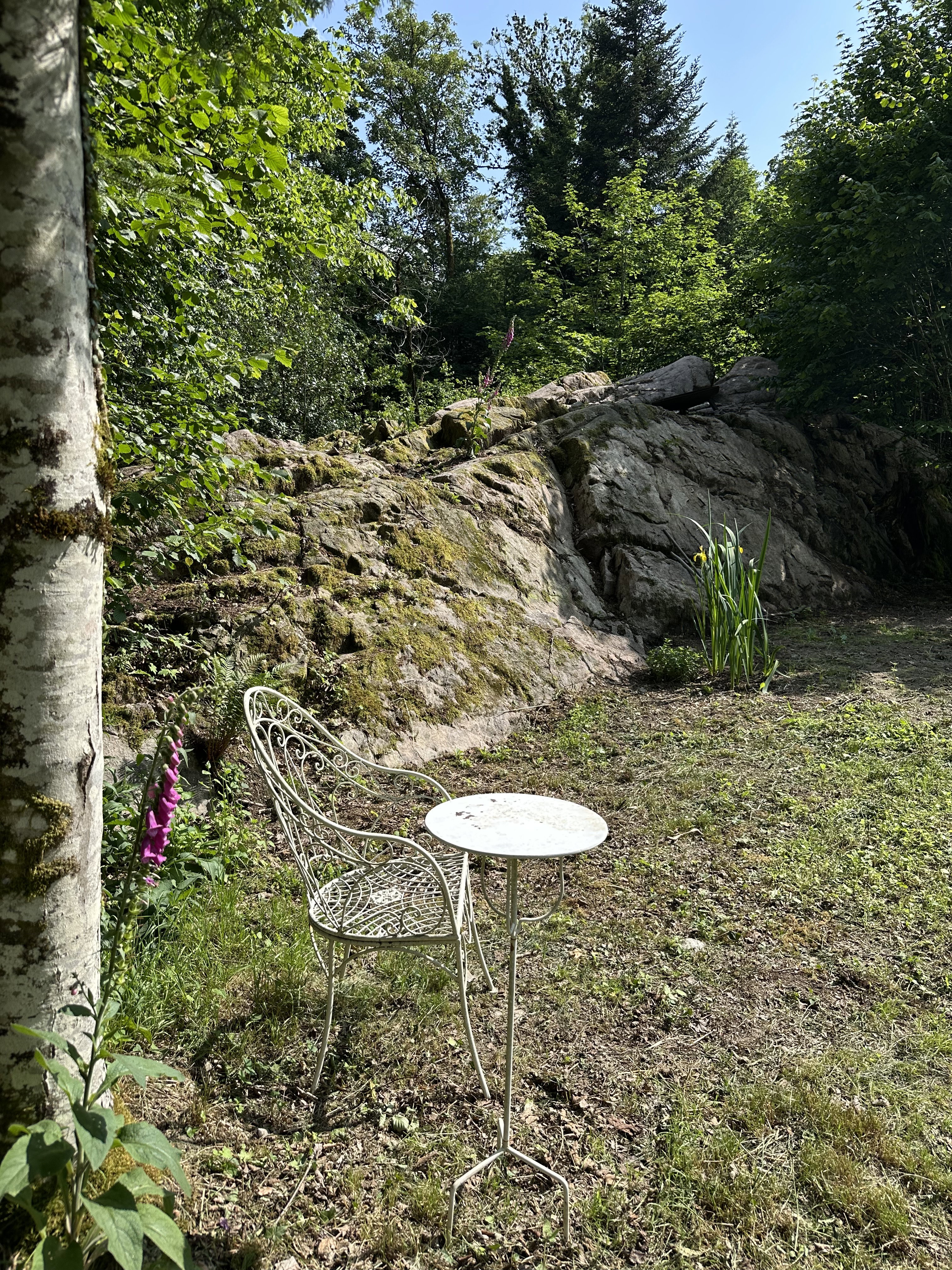 - image: 46