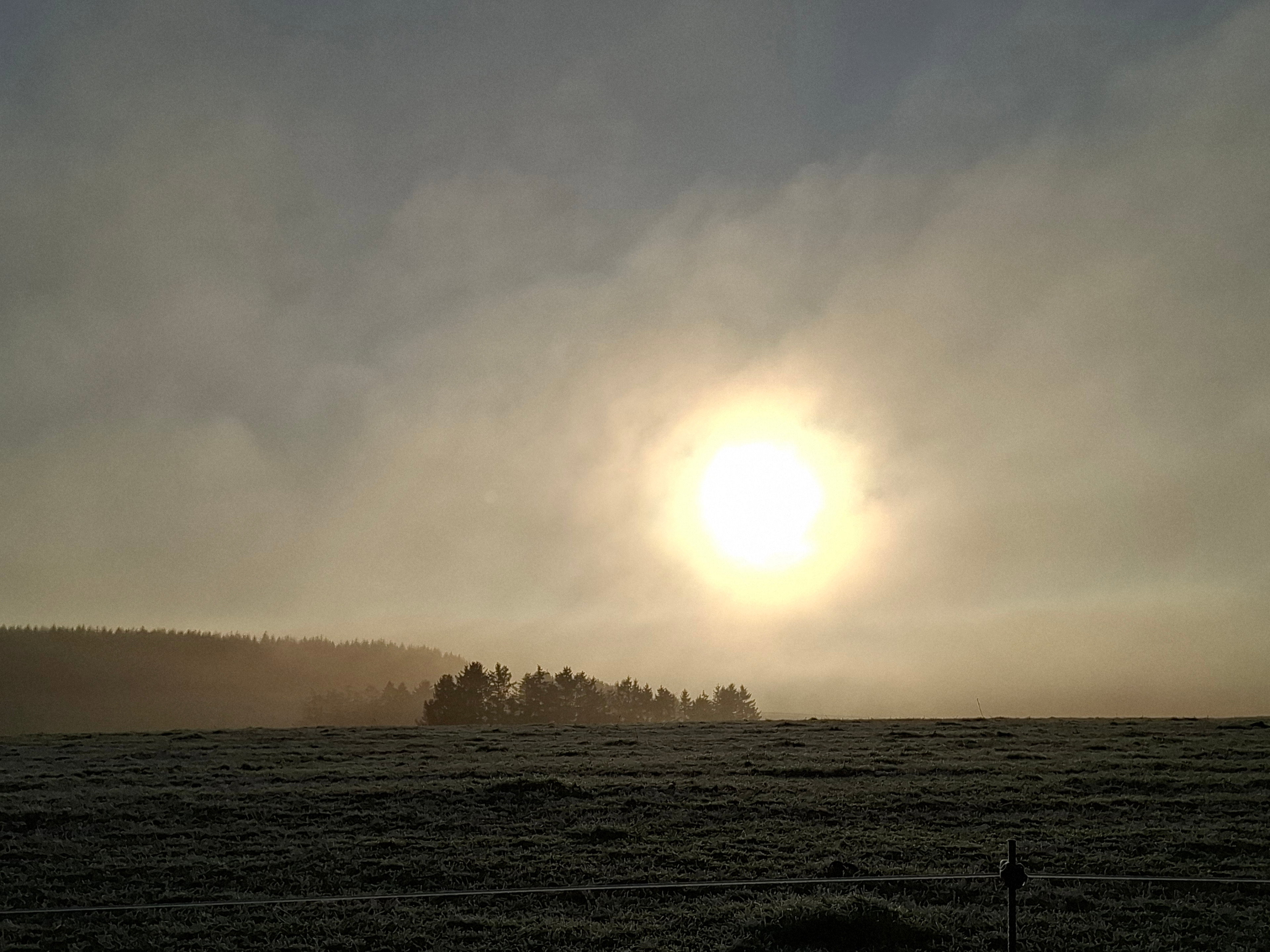 Natuurhuisje in La roche-en-ardenne
