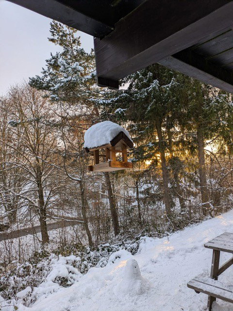 - image: 26