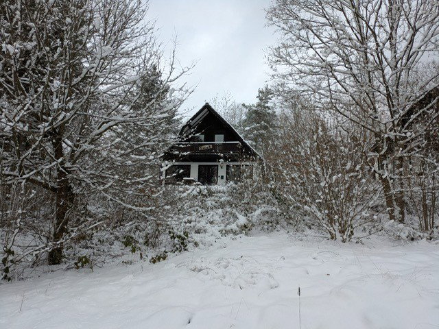 - image: 28
