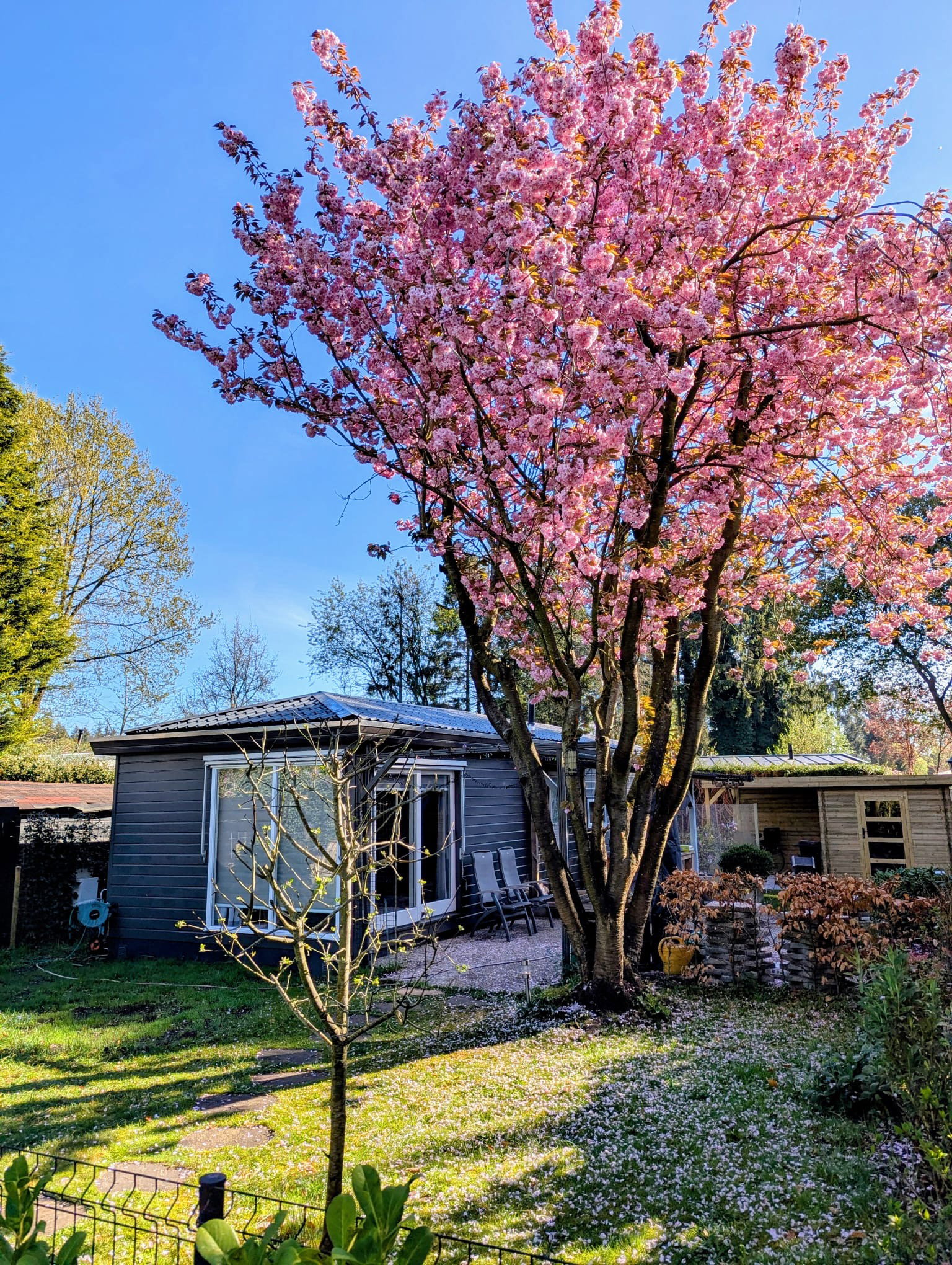 Natuurhuisje in Putten