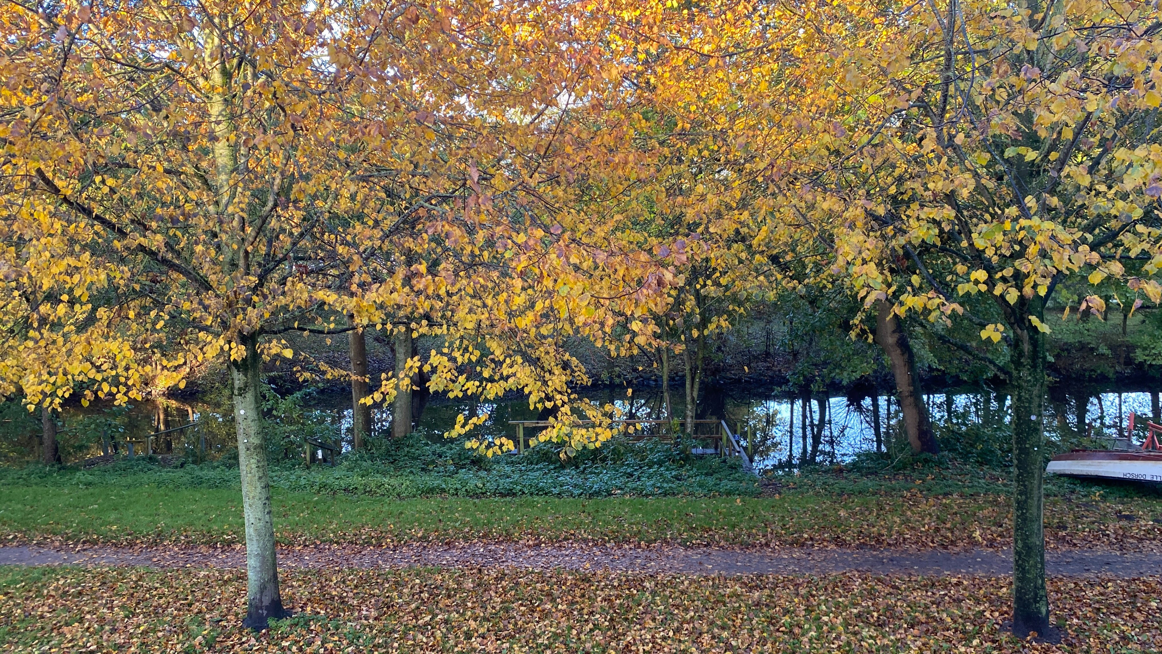 Naturhäuschen in Friedrichstadt