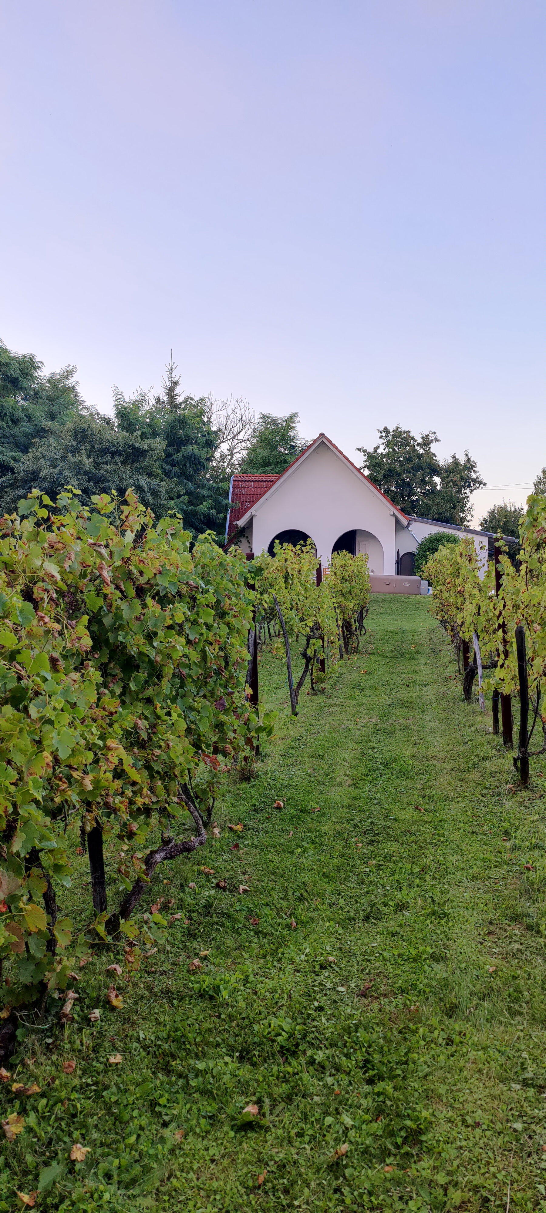Maison nature à Szigetvár
