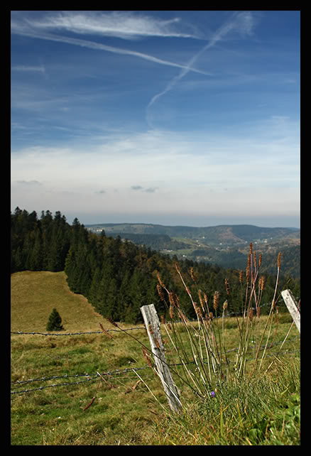 - image: 43