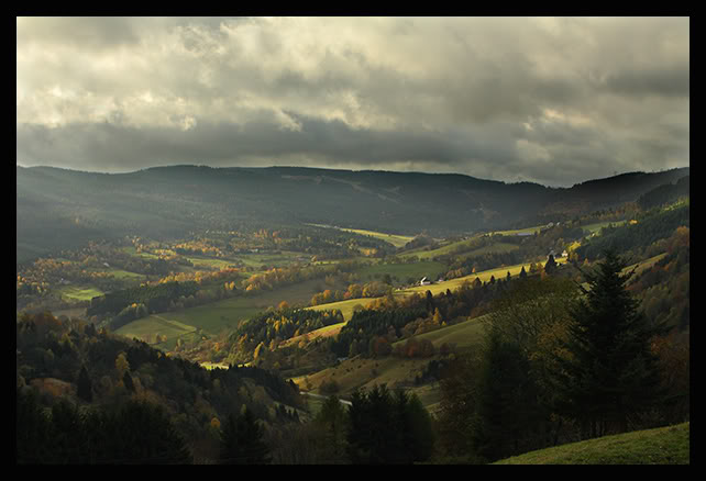 - image: 42