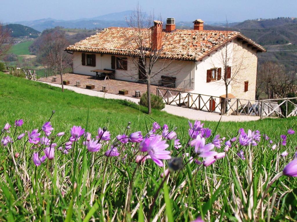 Natuurhuisje in Montemonaco