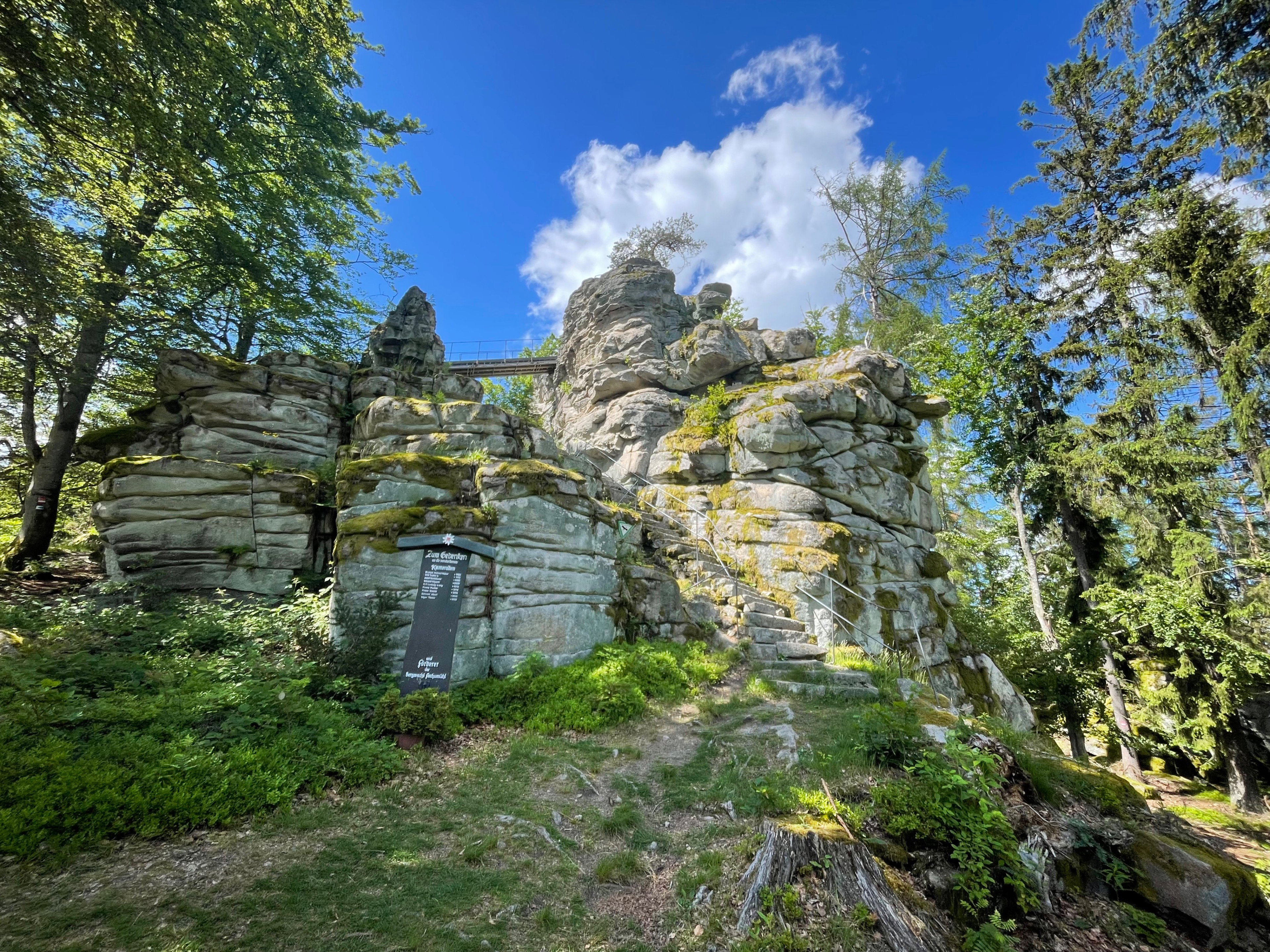- image: 33