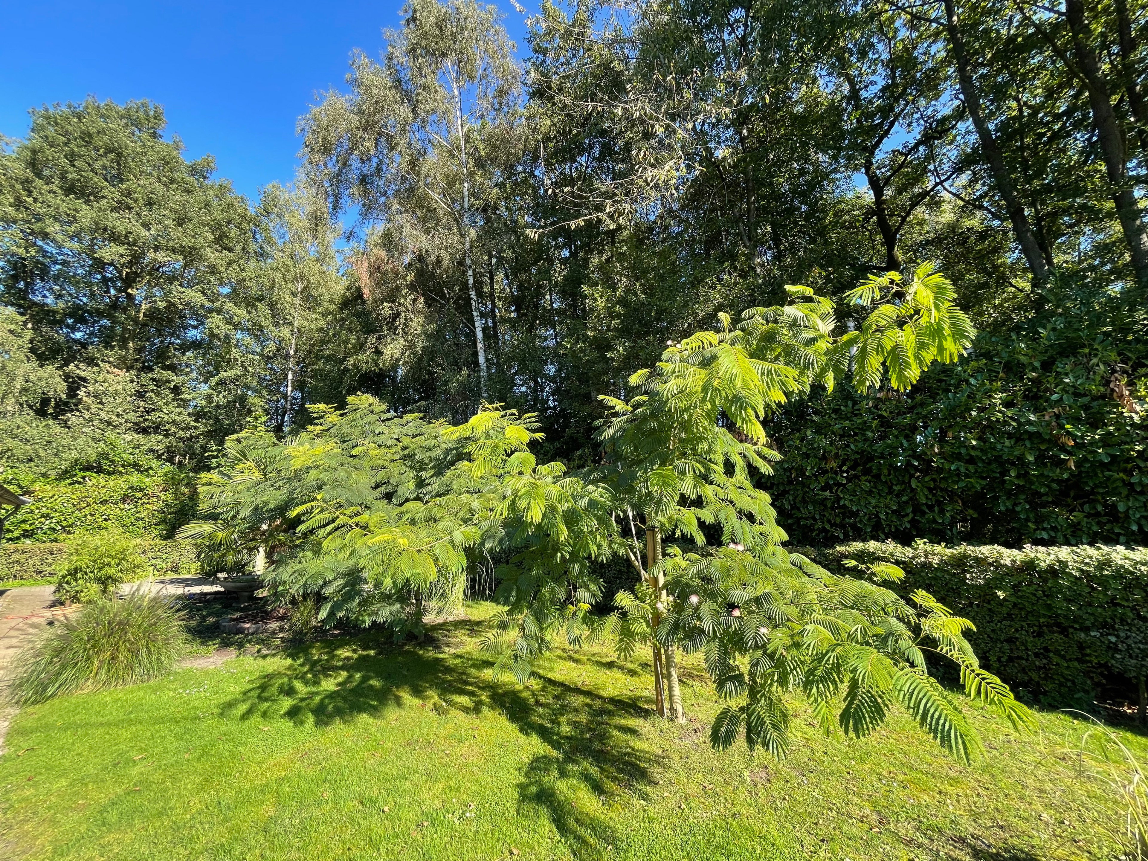 Naturhäuschen in Aalten