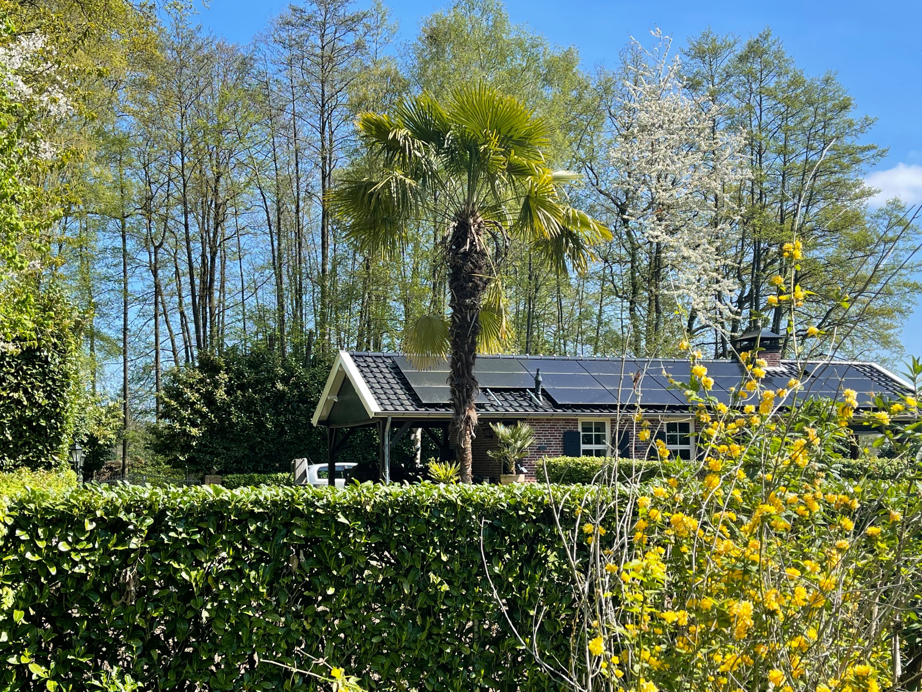 Naturhäuschen in Aalten