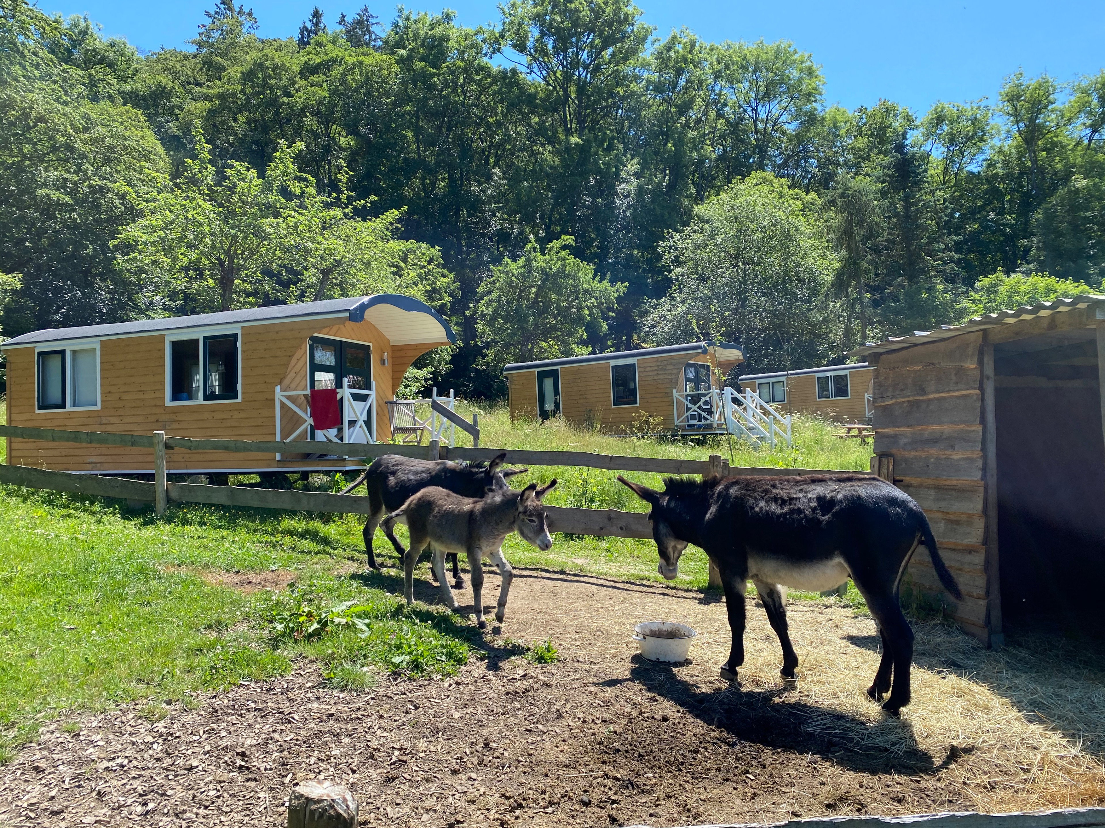 Casa nella natura a Bongard