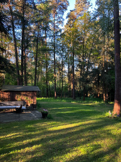 Natuurhuisje in Baarn