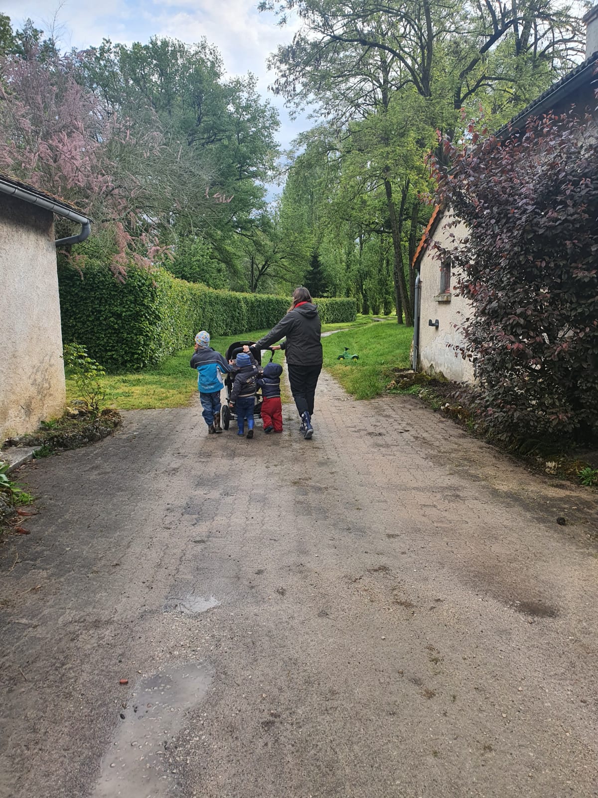 - image: 25