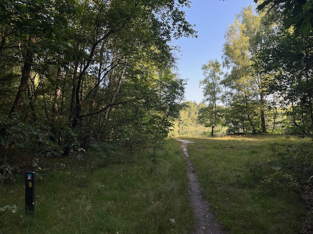 - image: 24