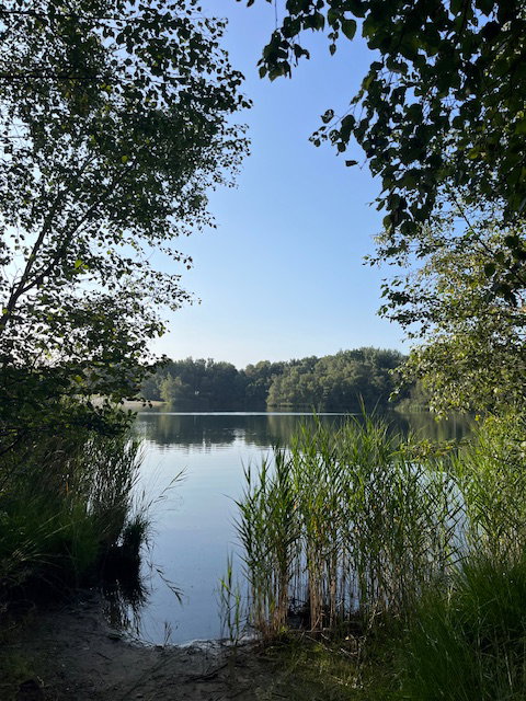 - image: 21