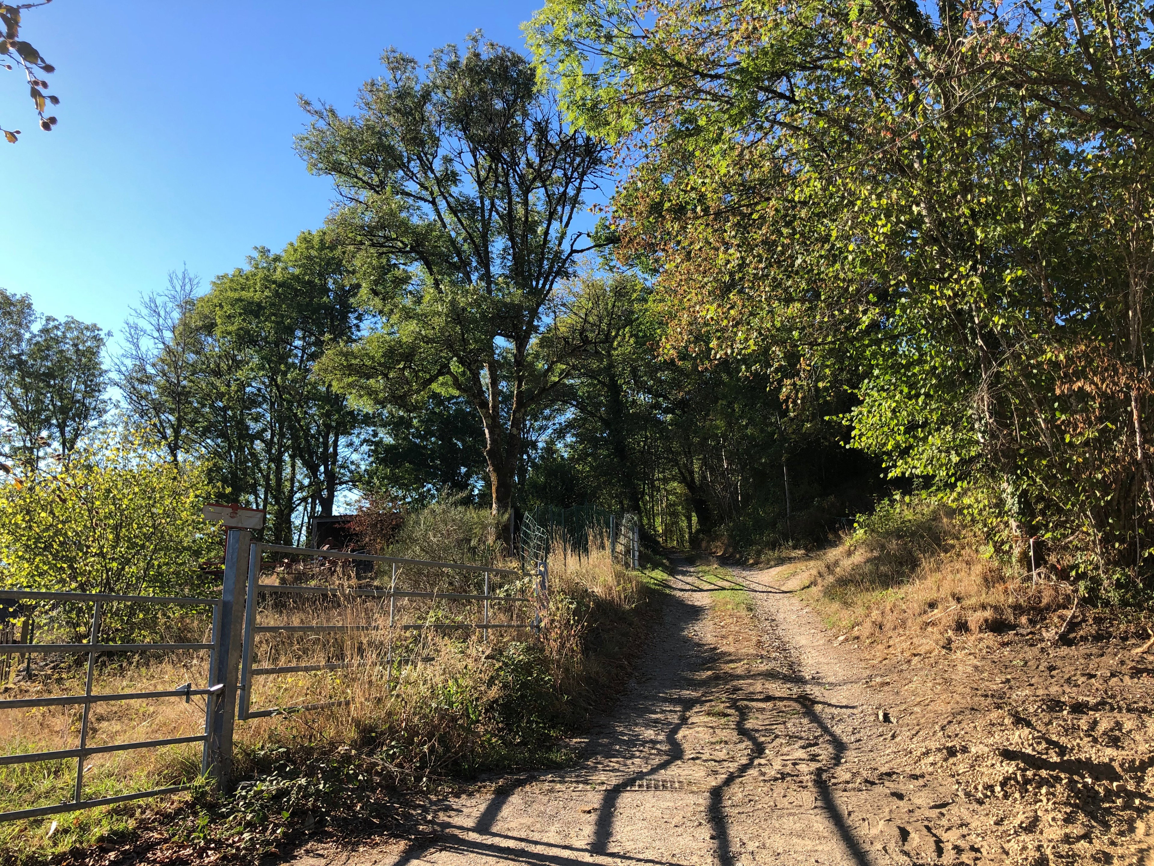 - image: 27