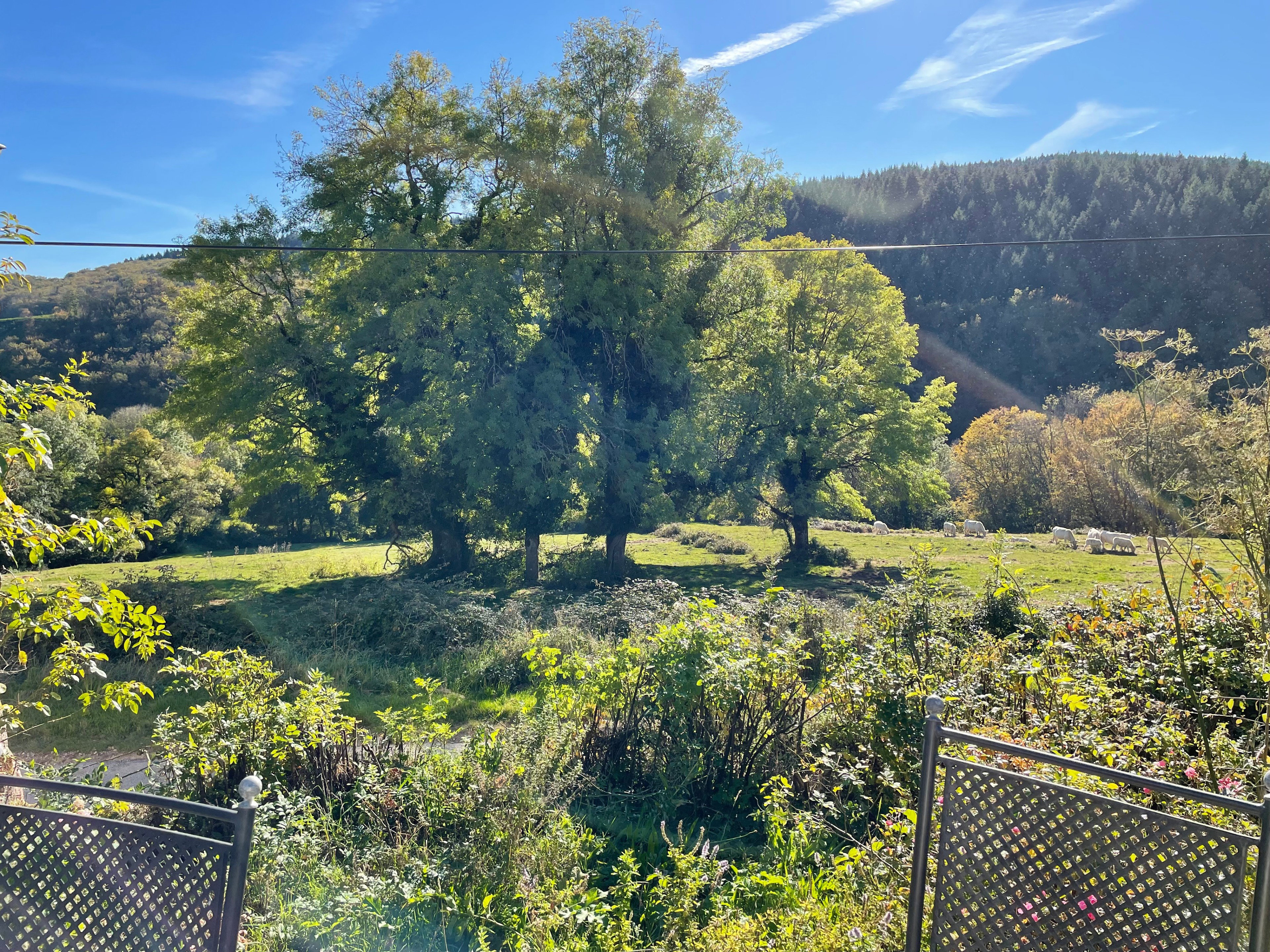 Casa nella natura a Vouchot
