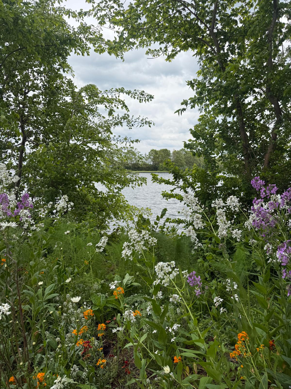 - image: 44