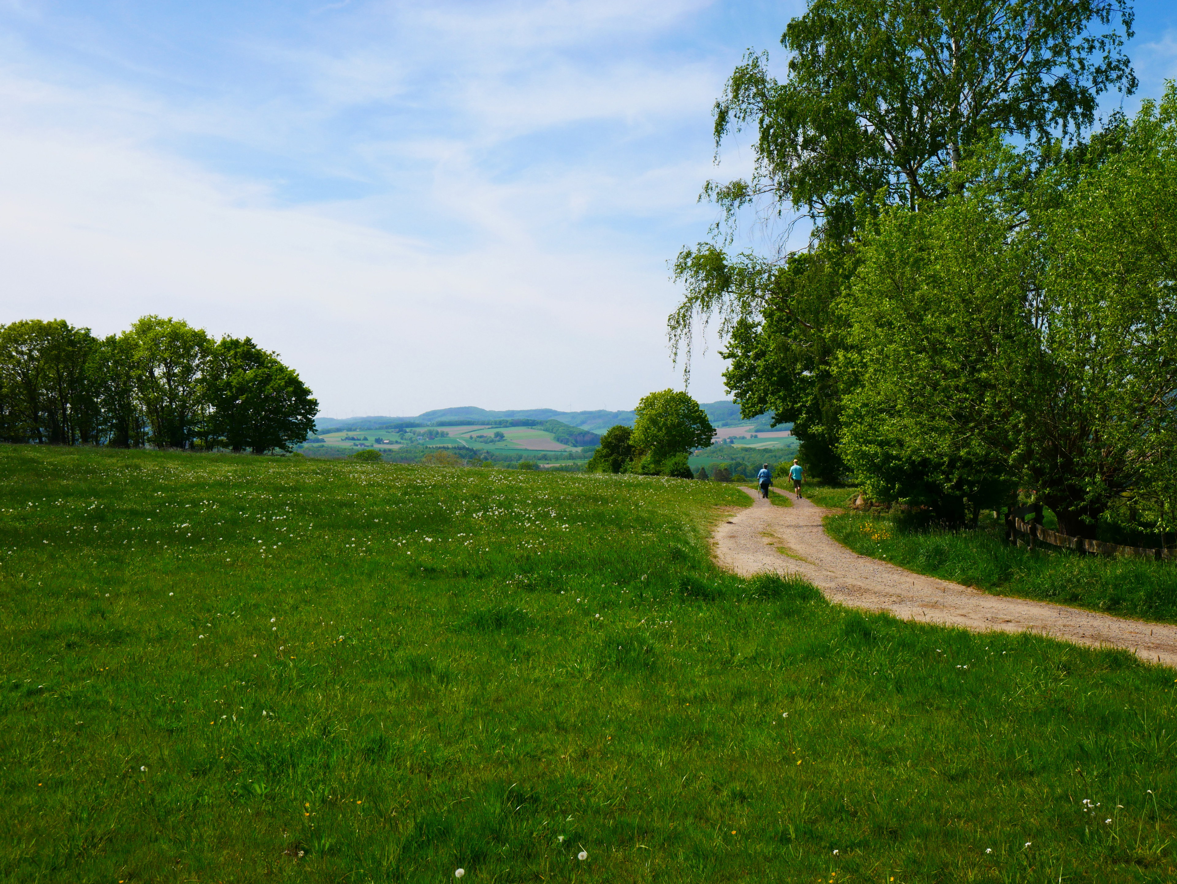 - image: 26