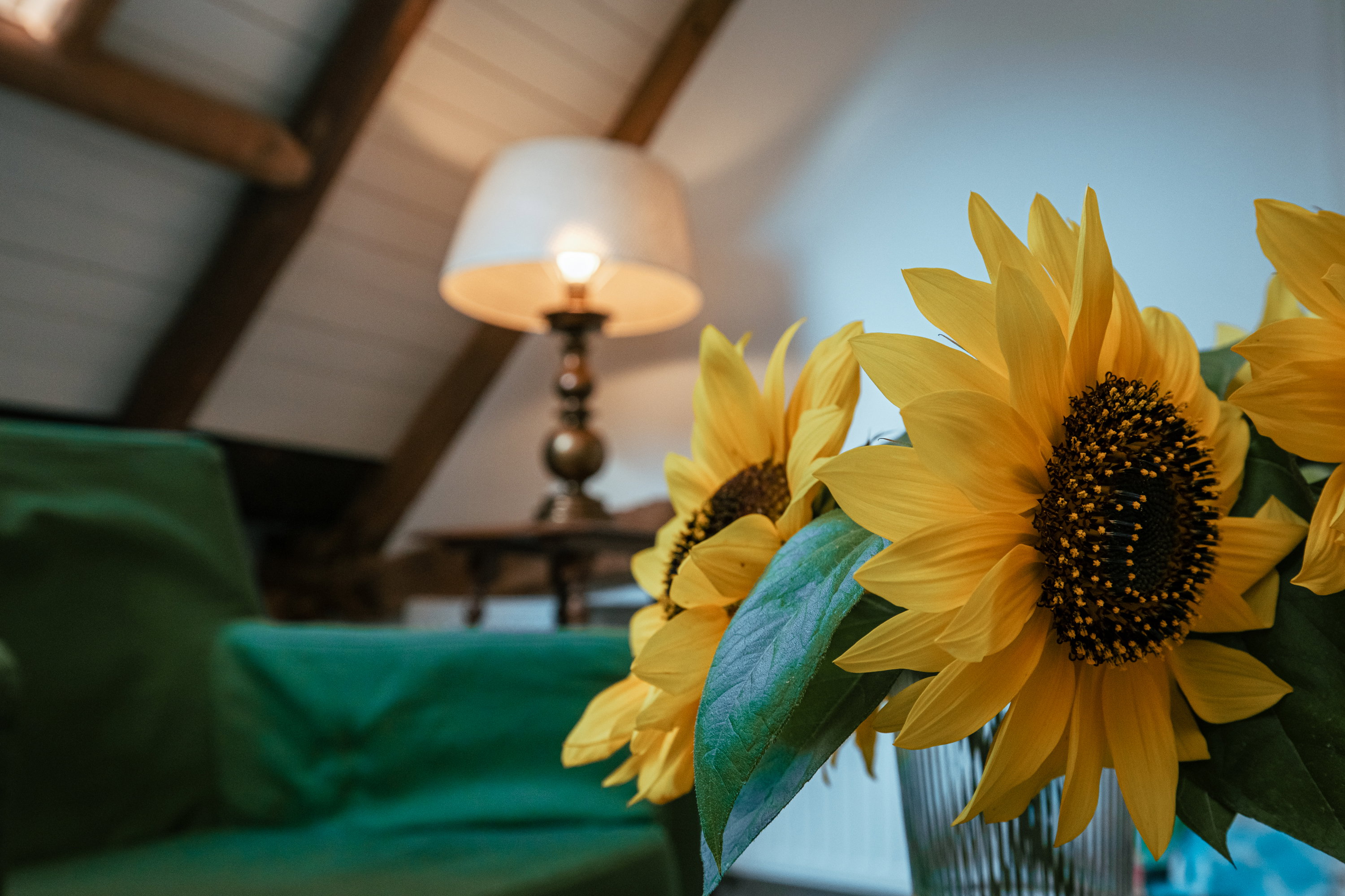 Casa nella natura a Winterswijk Woold