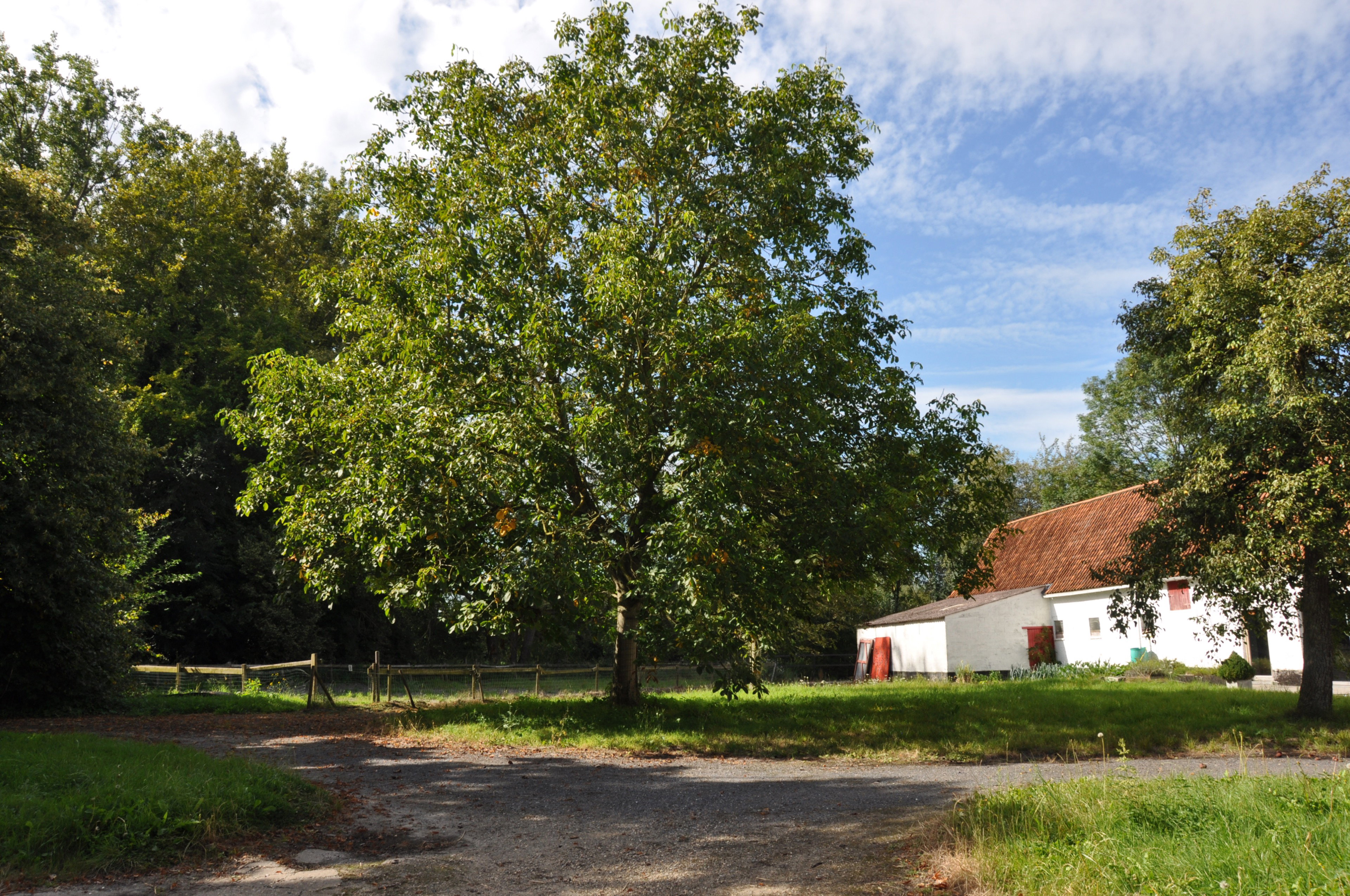 Casa nella natura a Zedelgem