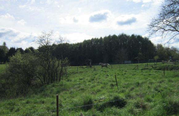 Maison nature à Lesve