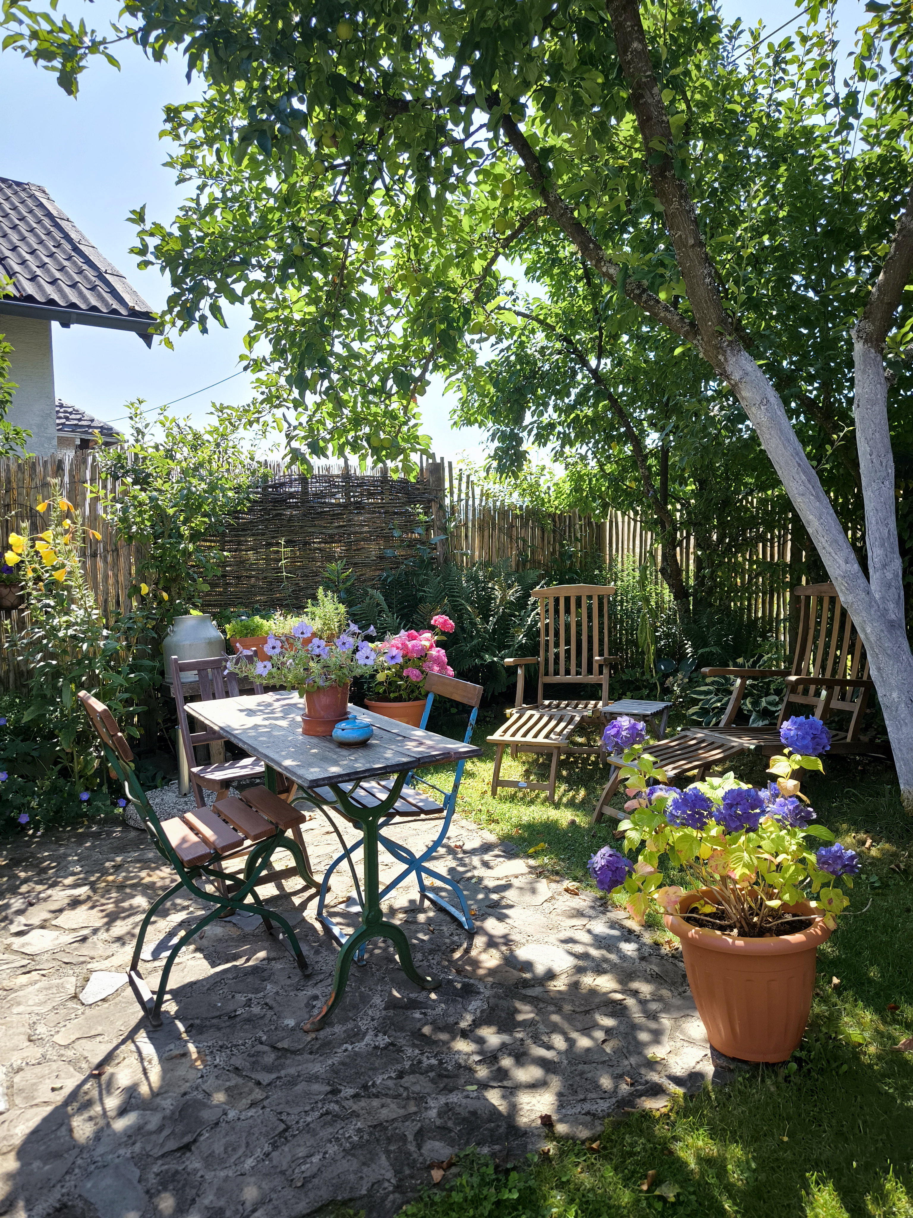 Naturhäuschen in Ditscheid