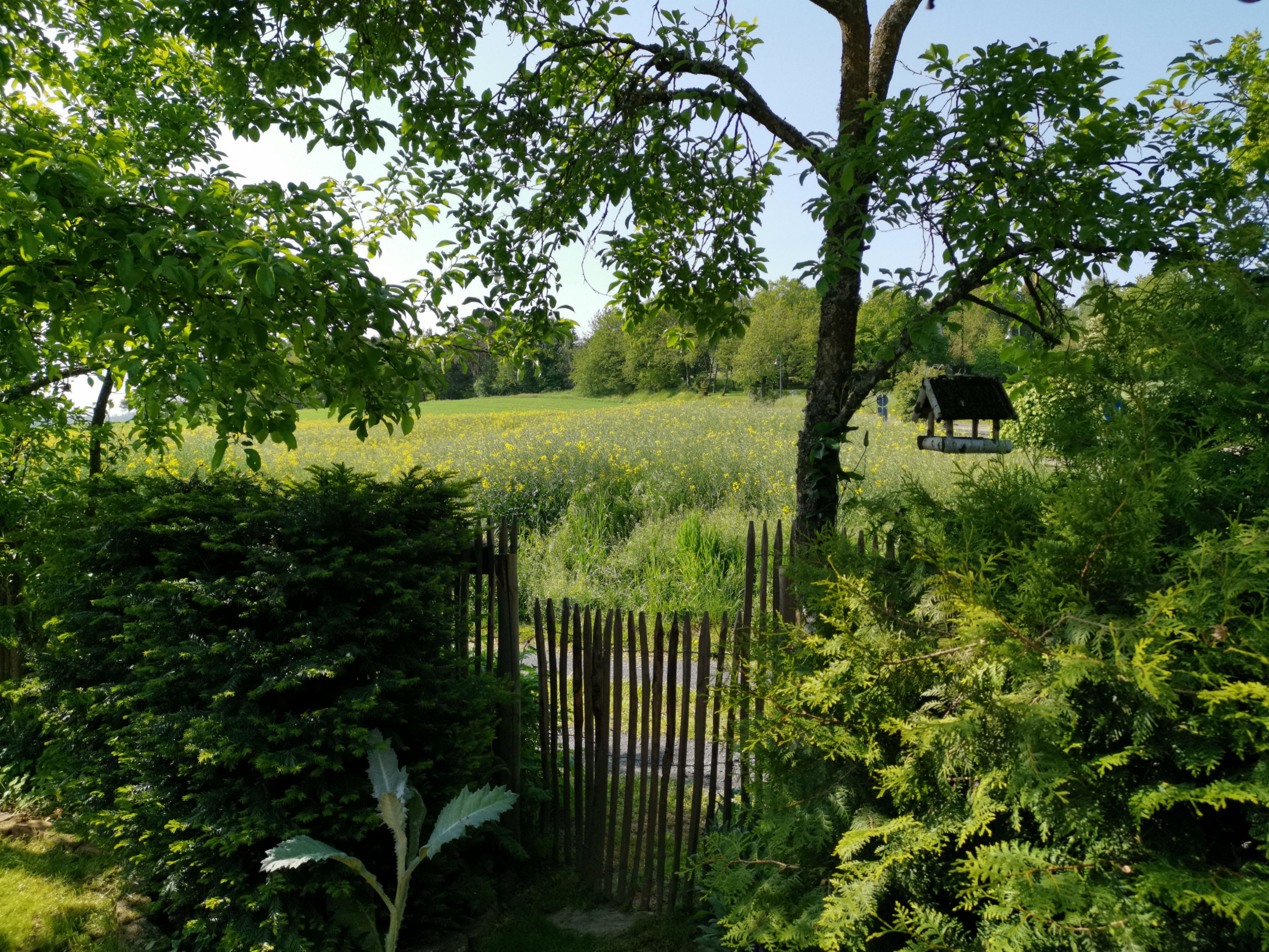 Naturhäuschen in Ditscheid
