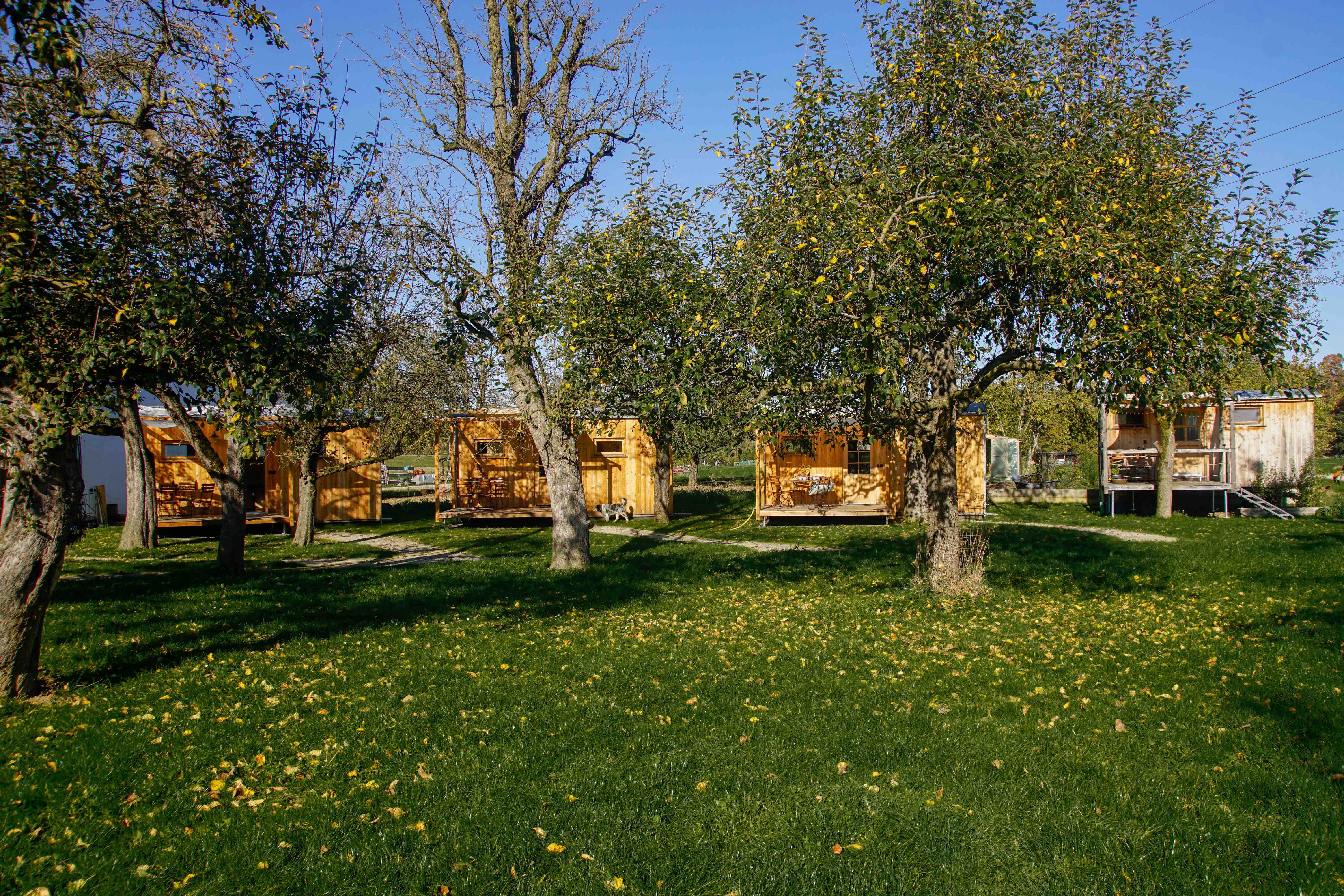 Nature house in Mehring