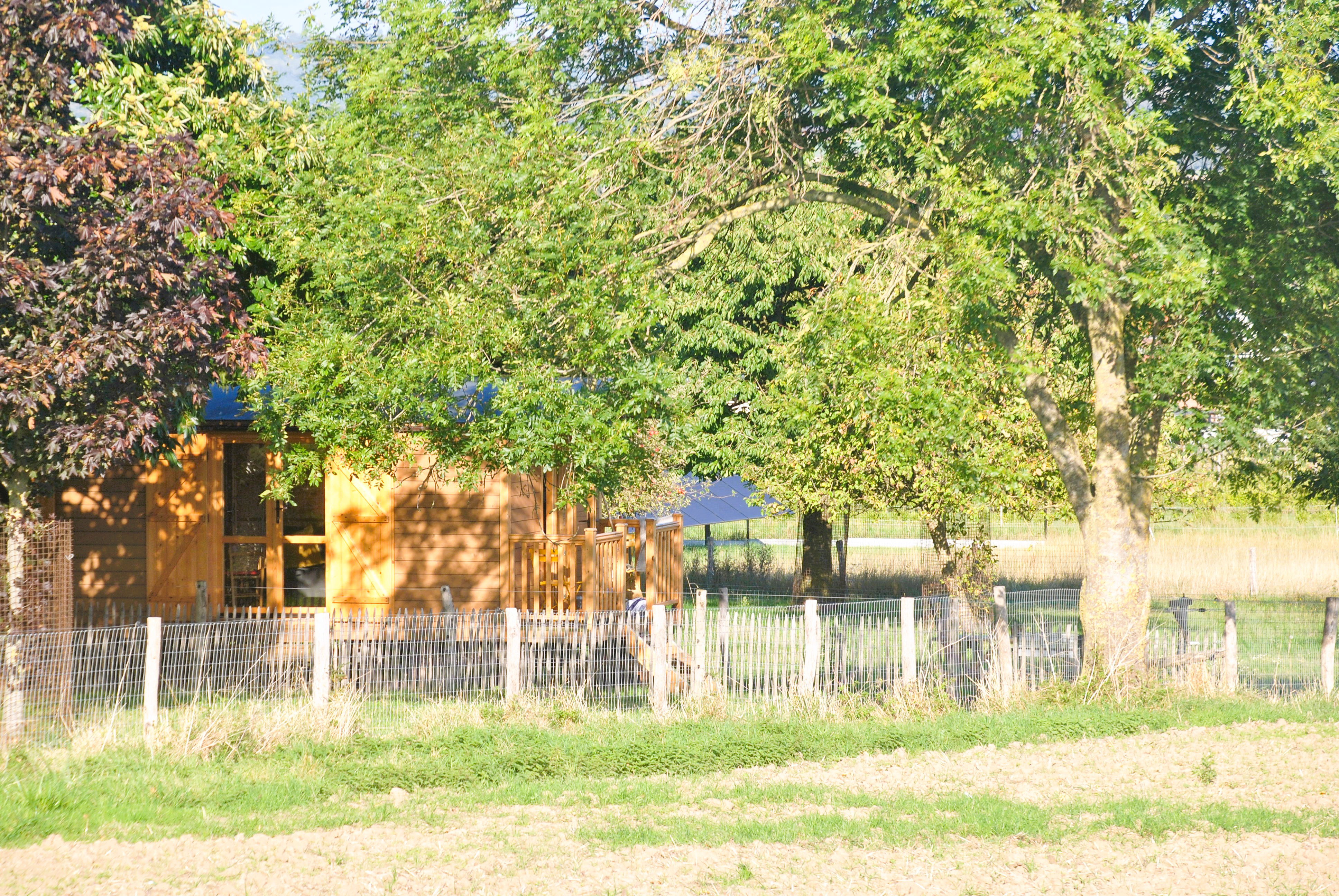 - image: 28