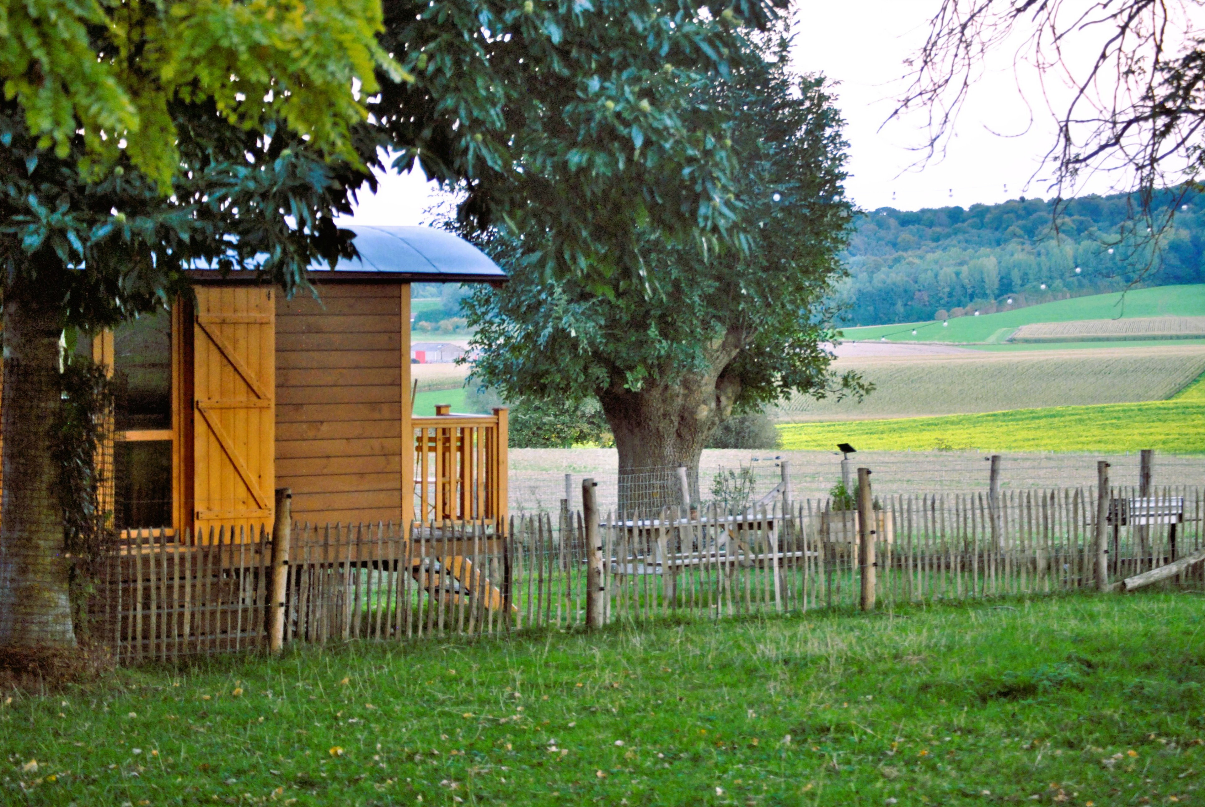 - image: 22