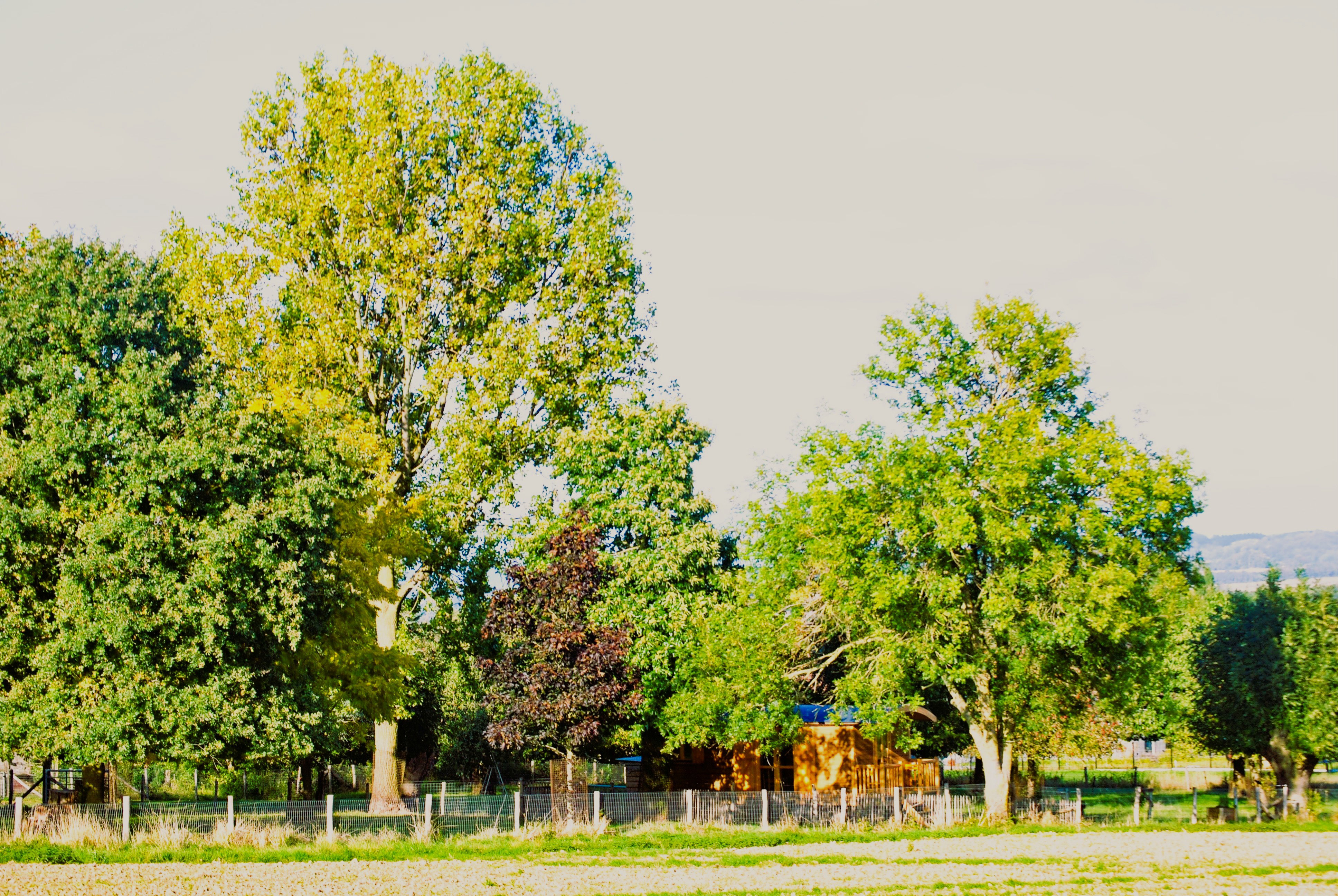 - image: 26