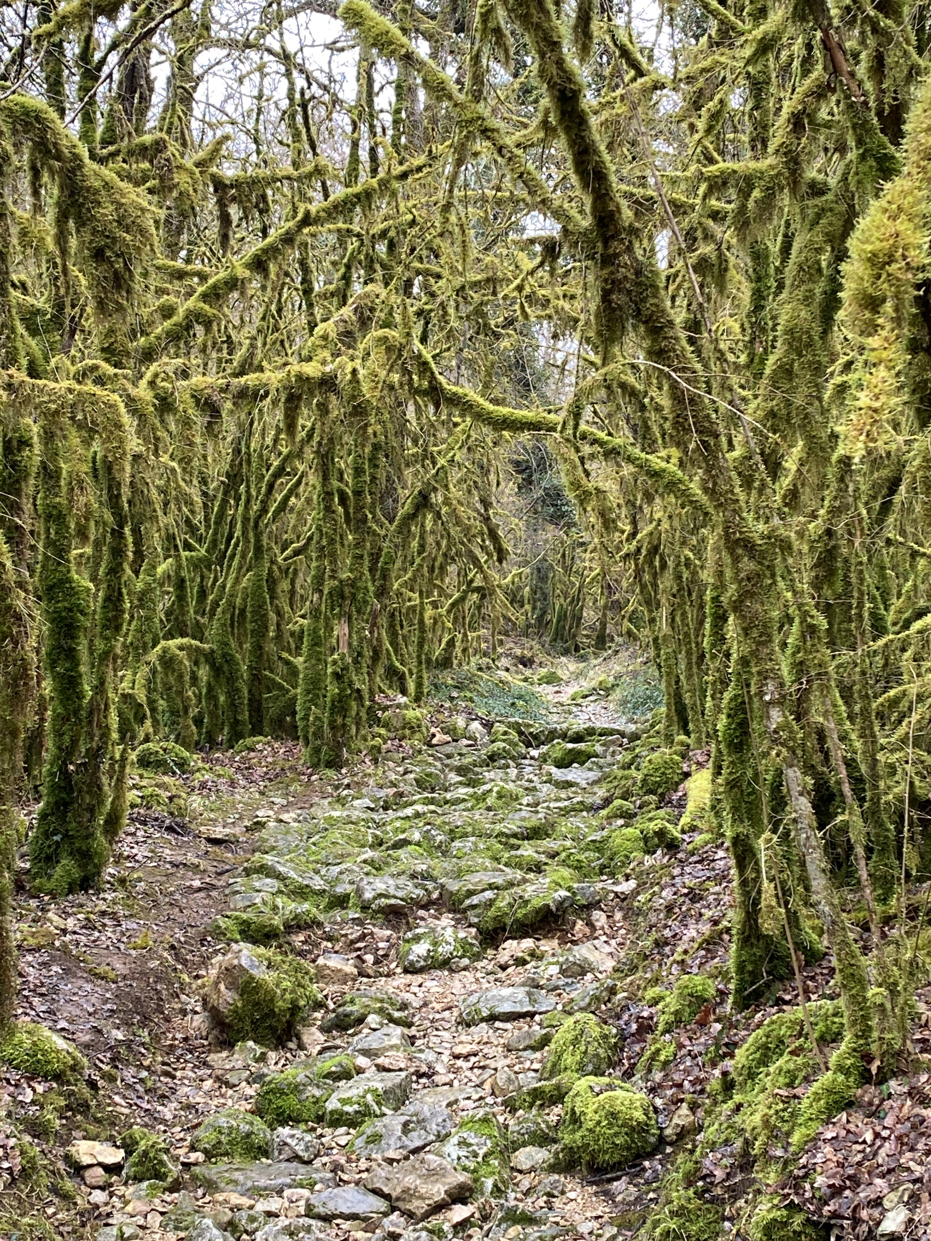 - image: 20