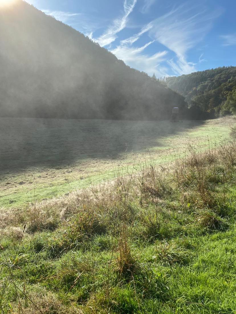 Natuurhuisje in La roche-en-ardenne