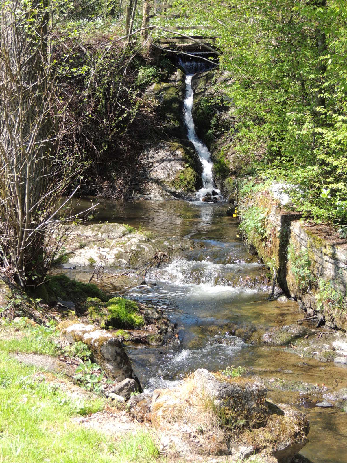 Natuurhuisje in La roche-en-ardenne