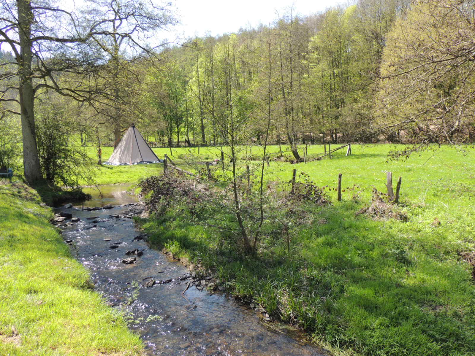 Natuurhuisje in La roche-en-ardenne
