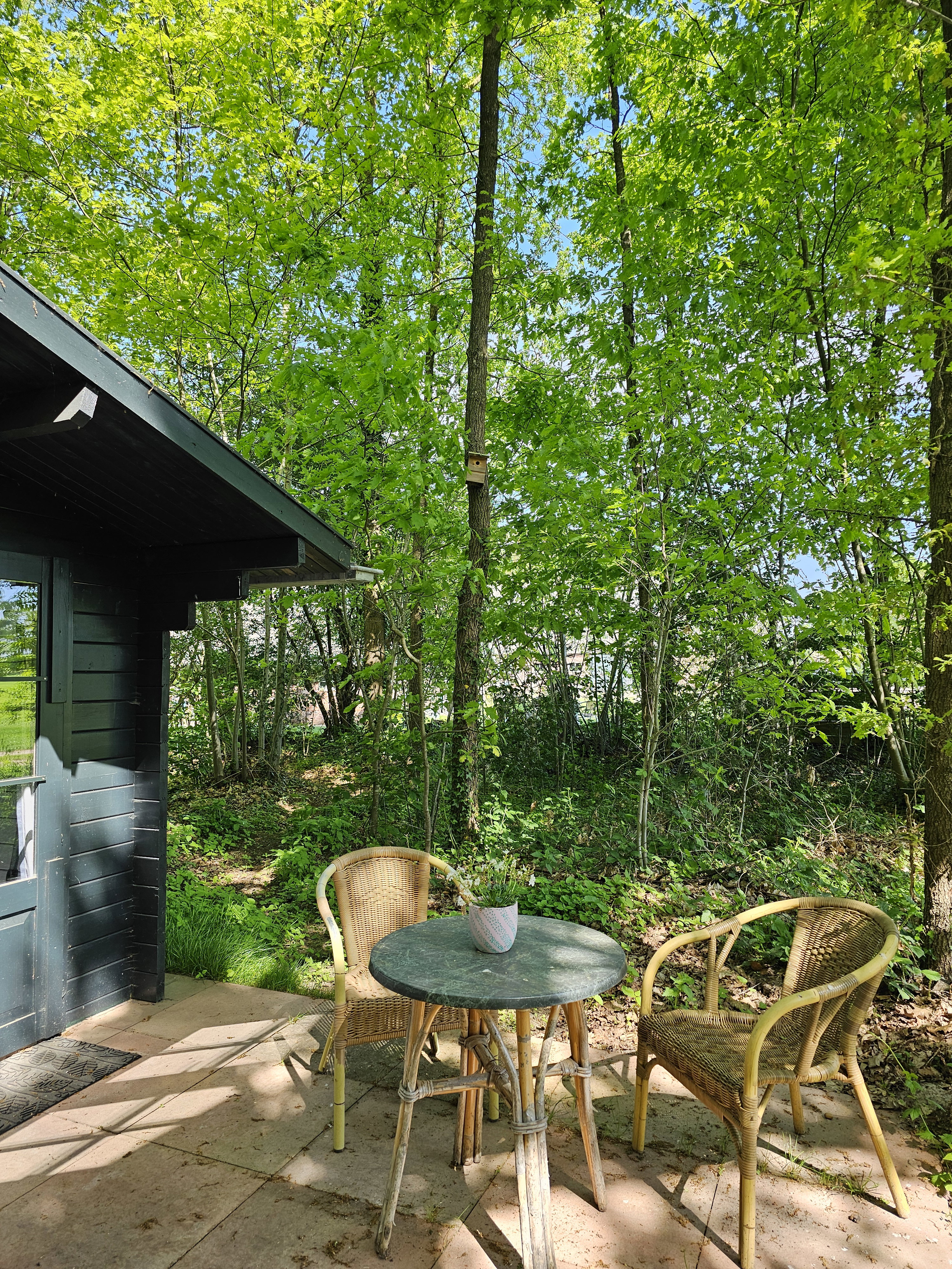 Casa nella natura a Winterswijk Henxel
