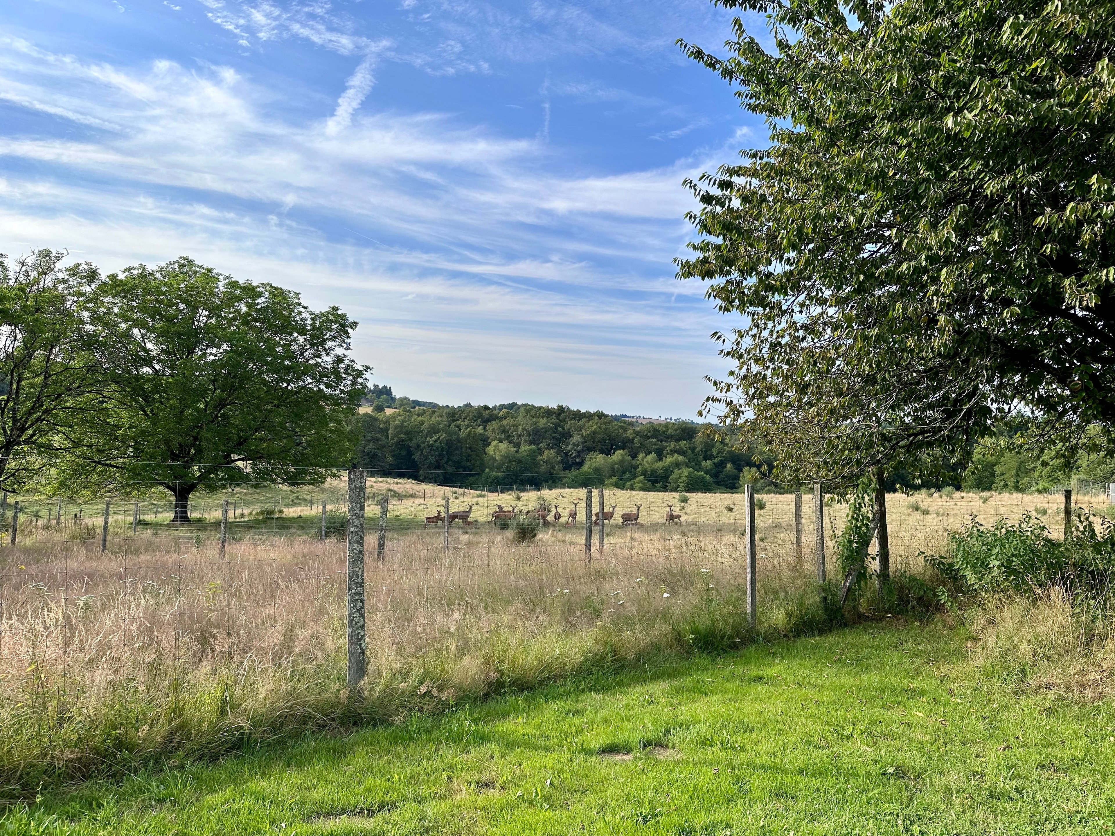 Natuurhuisje in Glandon