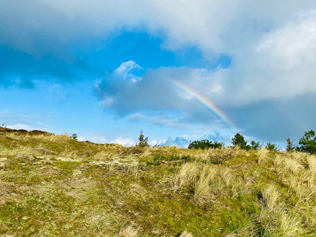 - image: 23