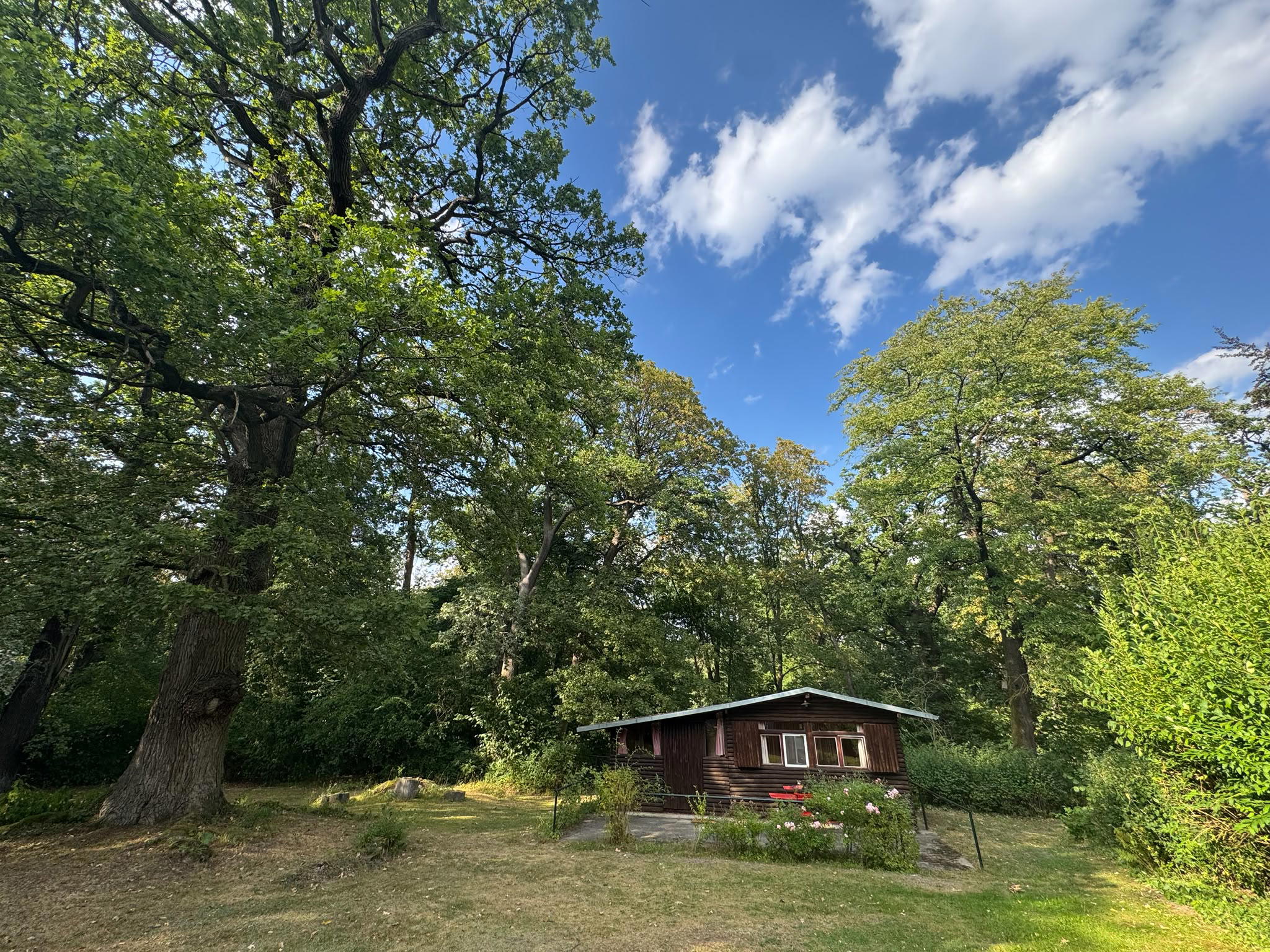 Maison nature à Holle