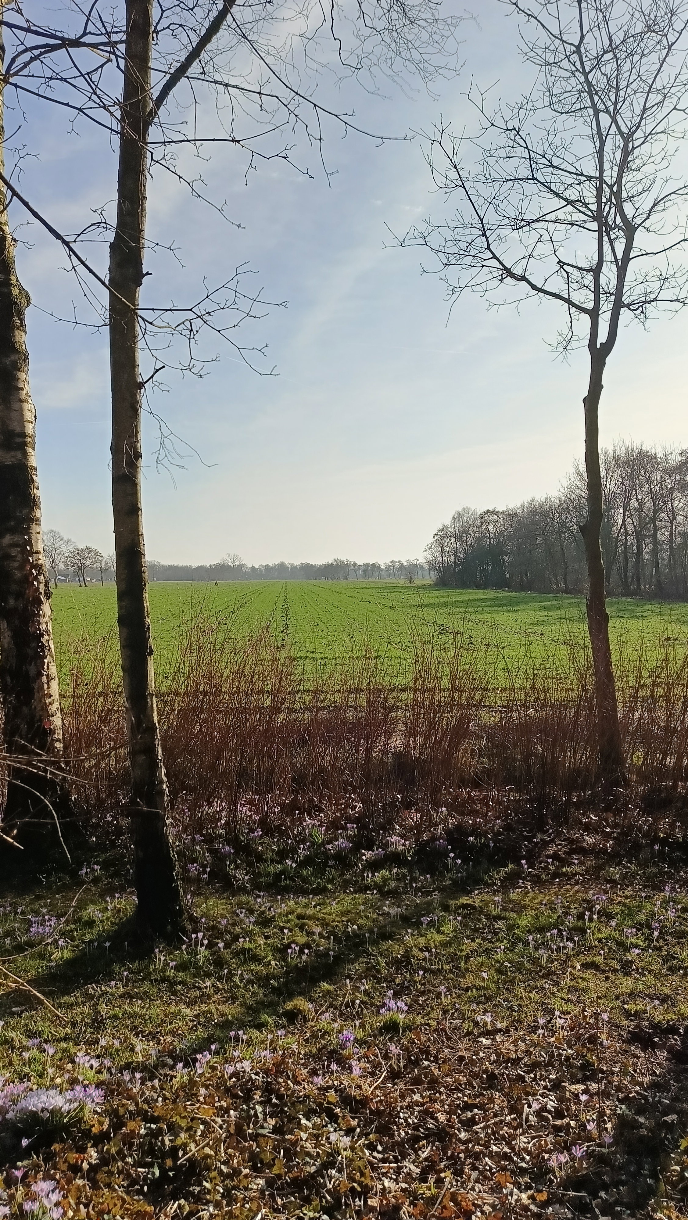 Natuurhuisje in Opende