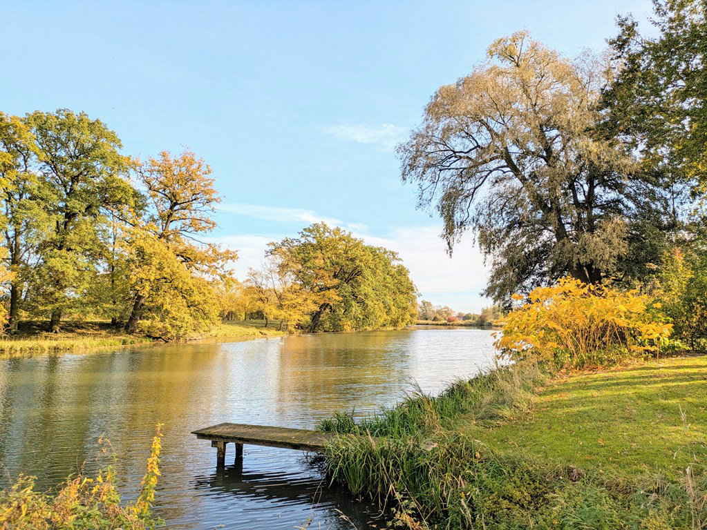 Naturhäuschen in Seedorf