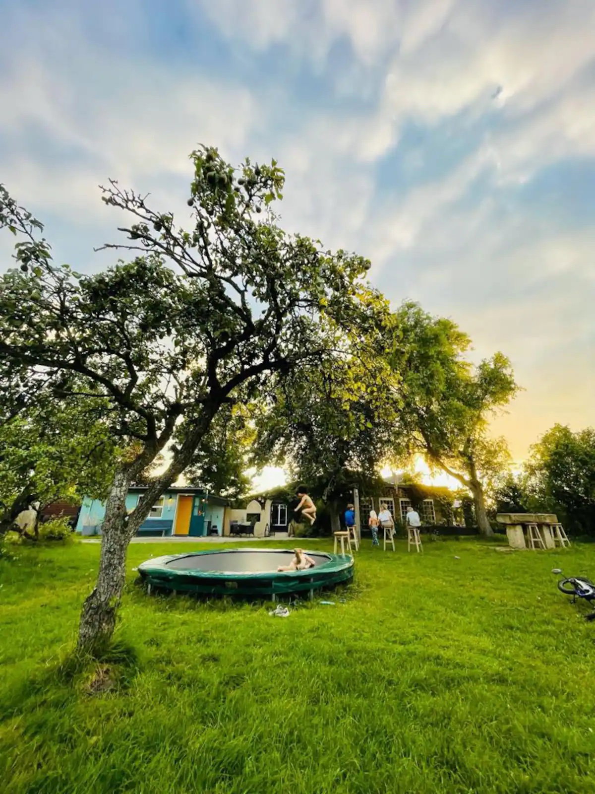 Casa nella natura a Winssen
