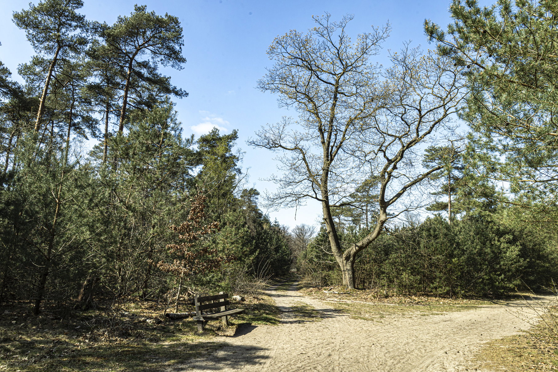 - image: 24
