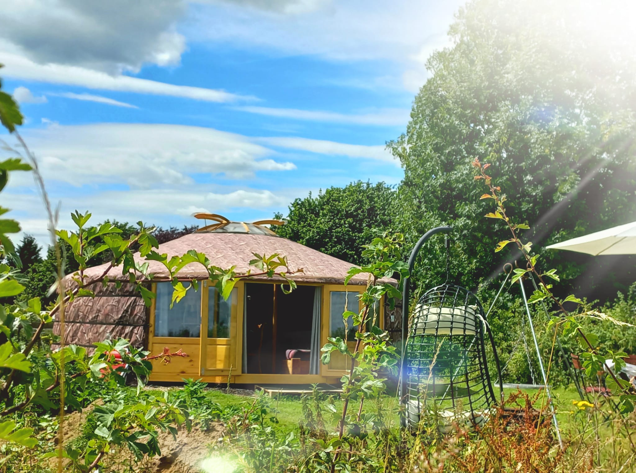 Casa nella natura a Winssen