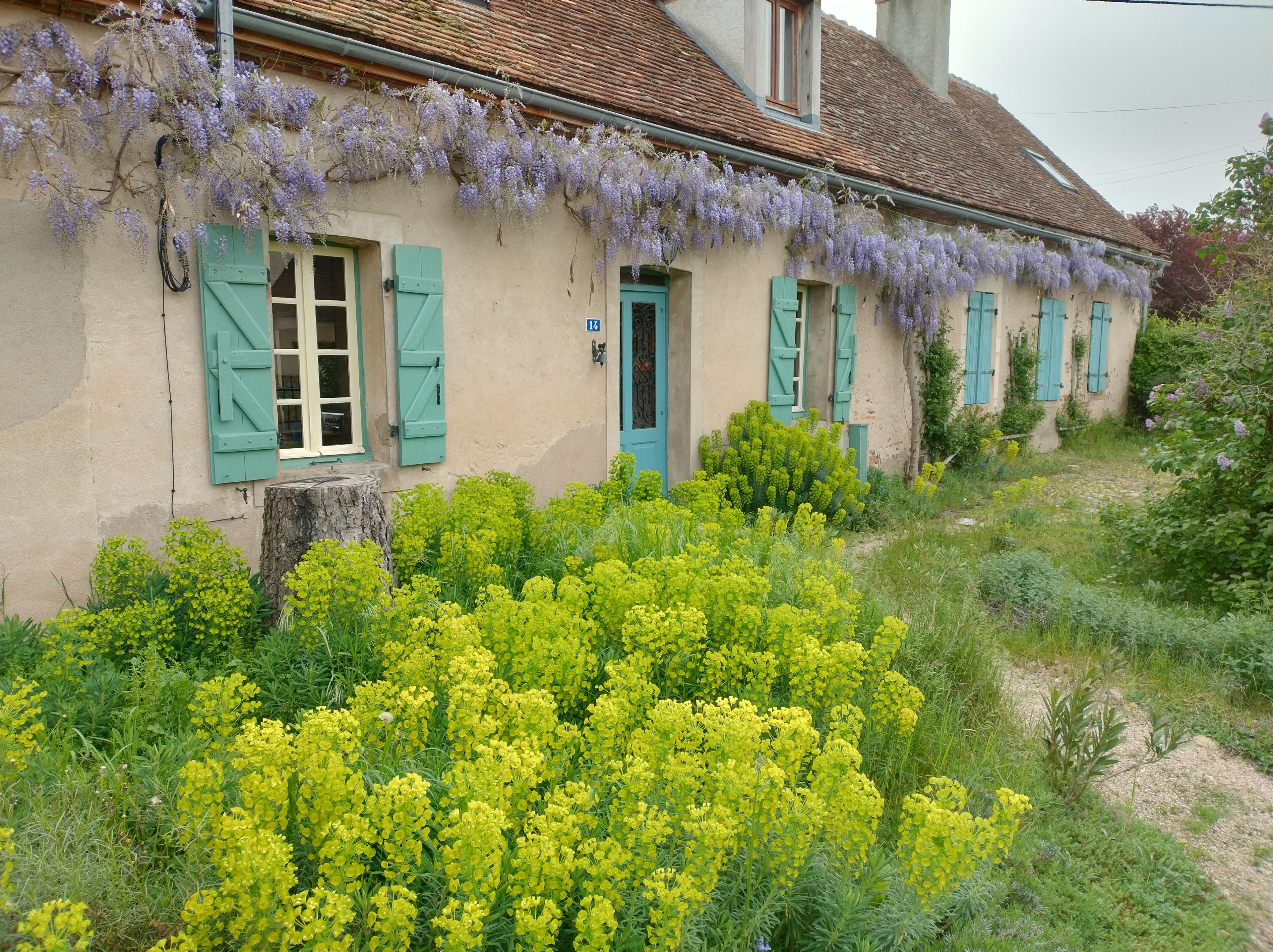Nature house in Bourbon Lancy