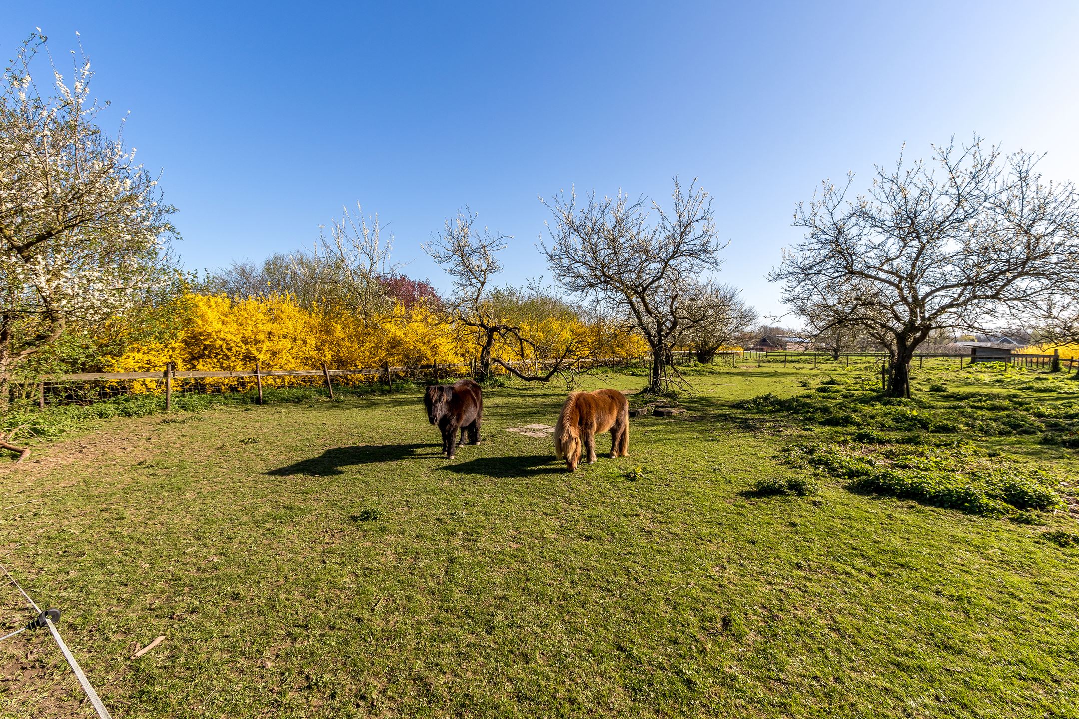 Casa nella natura a Winssen